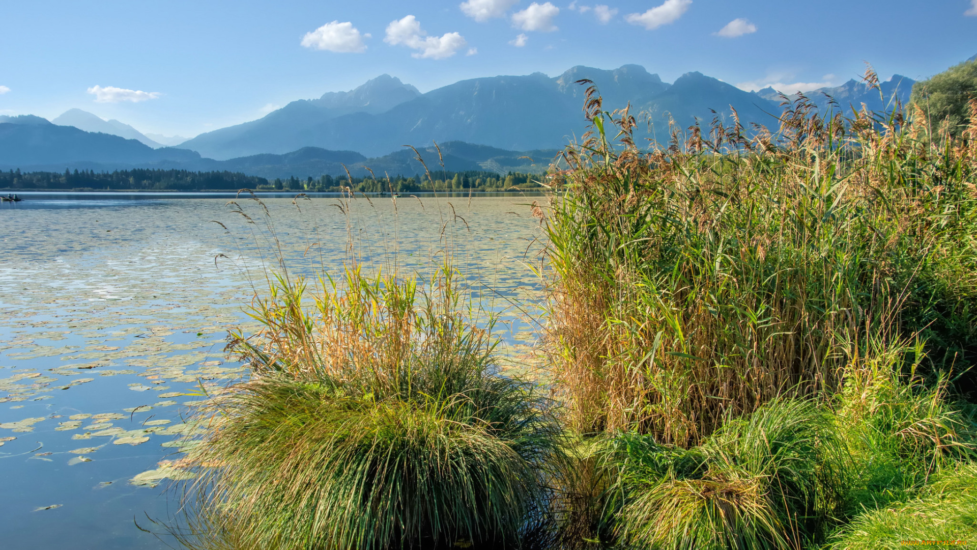 природа, реки, озера, простор