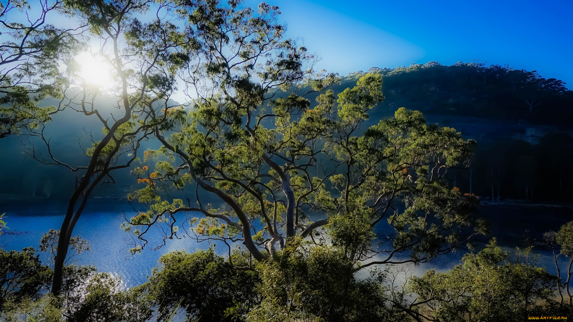 природа, реки, озера, простор