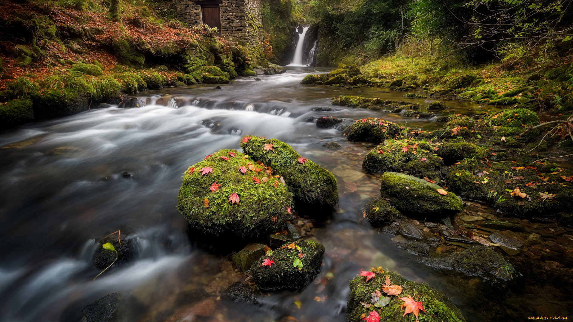 природа, реки, озера, речка, водопад, англия, лес