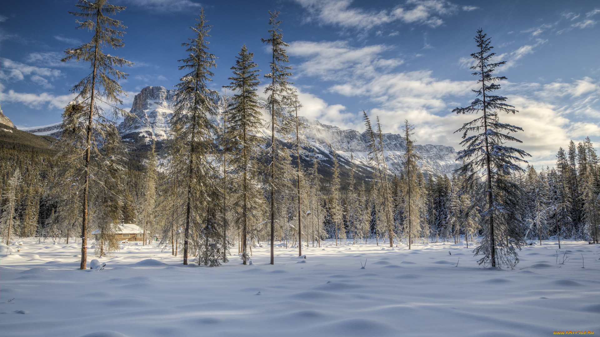 природа, зима, простор