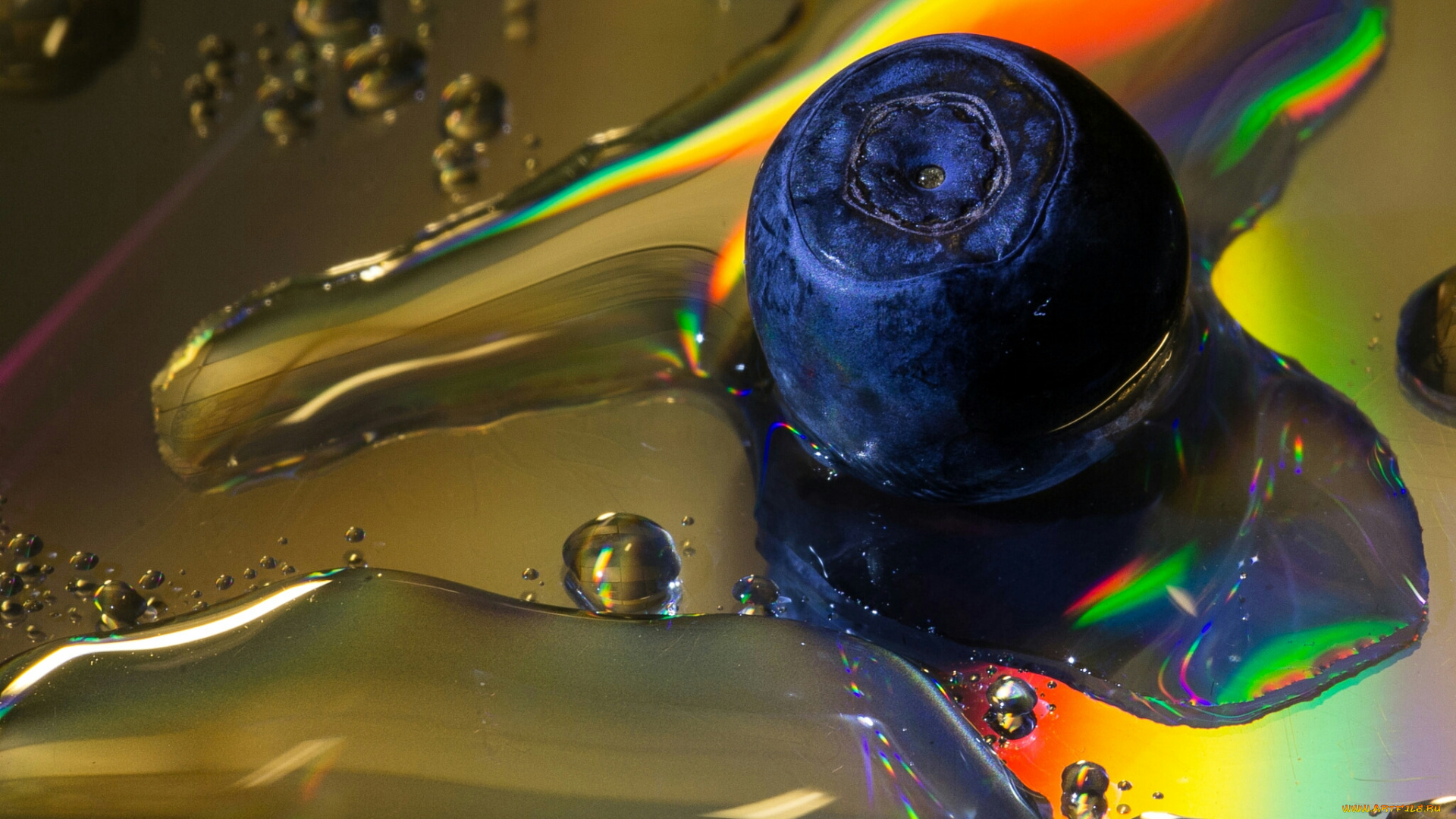 ягода, природа, Ягоды, вода, макро, капли, черника