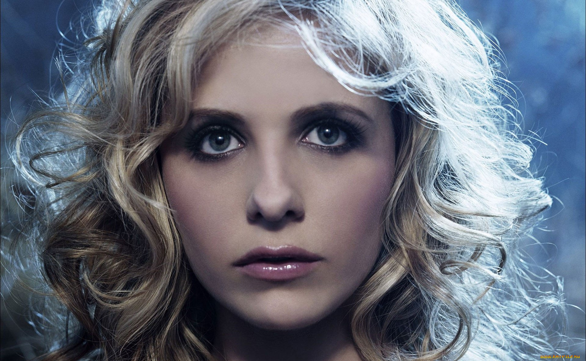 девушки, sarah, michelle, gellar, актриса, блондинка, лицо