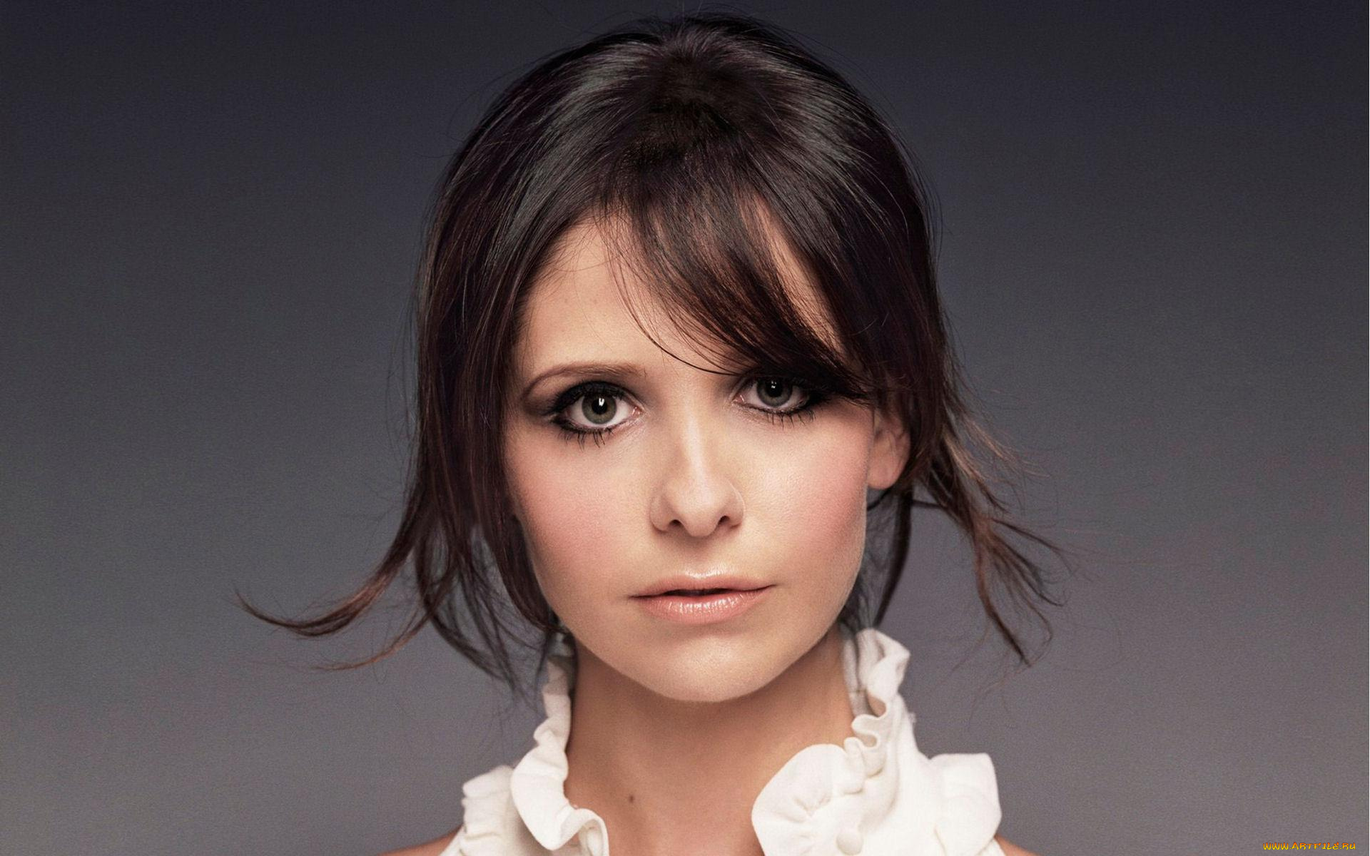 девушки, sarah, michelle, gellar, актриса, шатенка, лицо