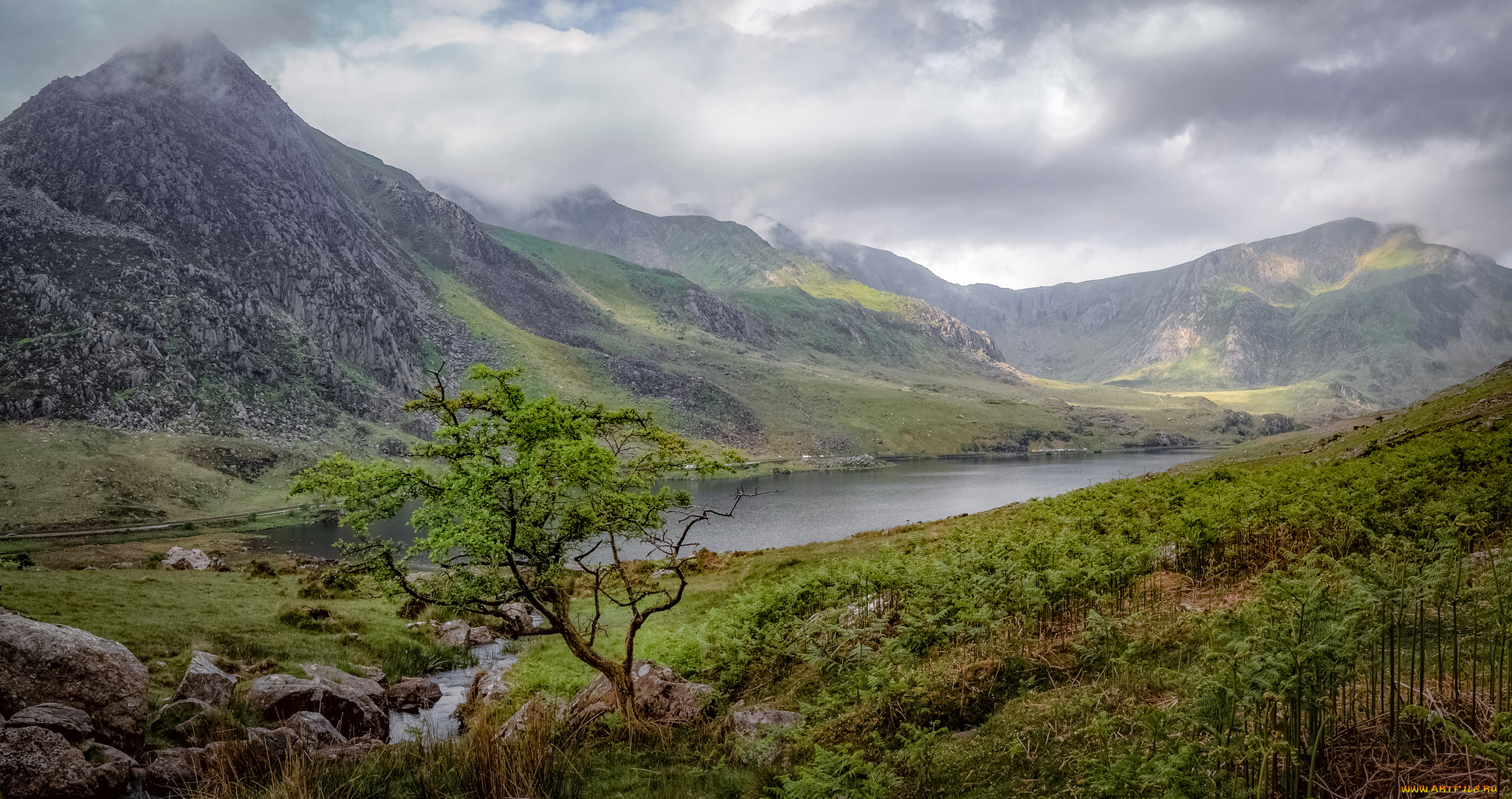 природа, горы, простор