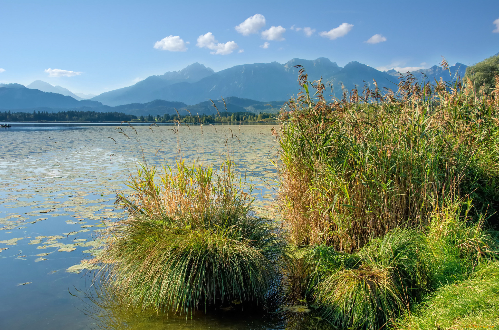 природа, реки, озера, простор