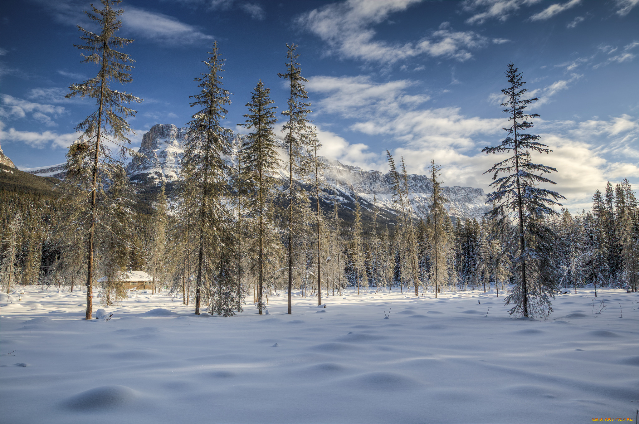 природа, зима, простор