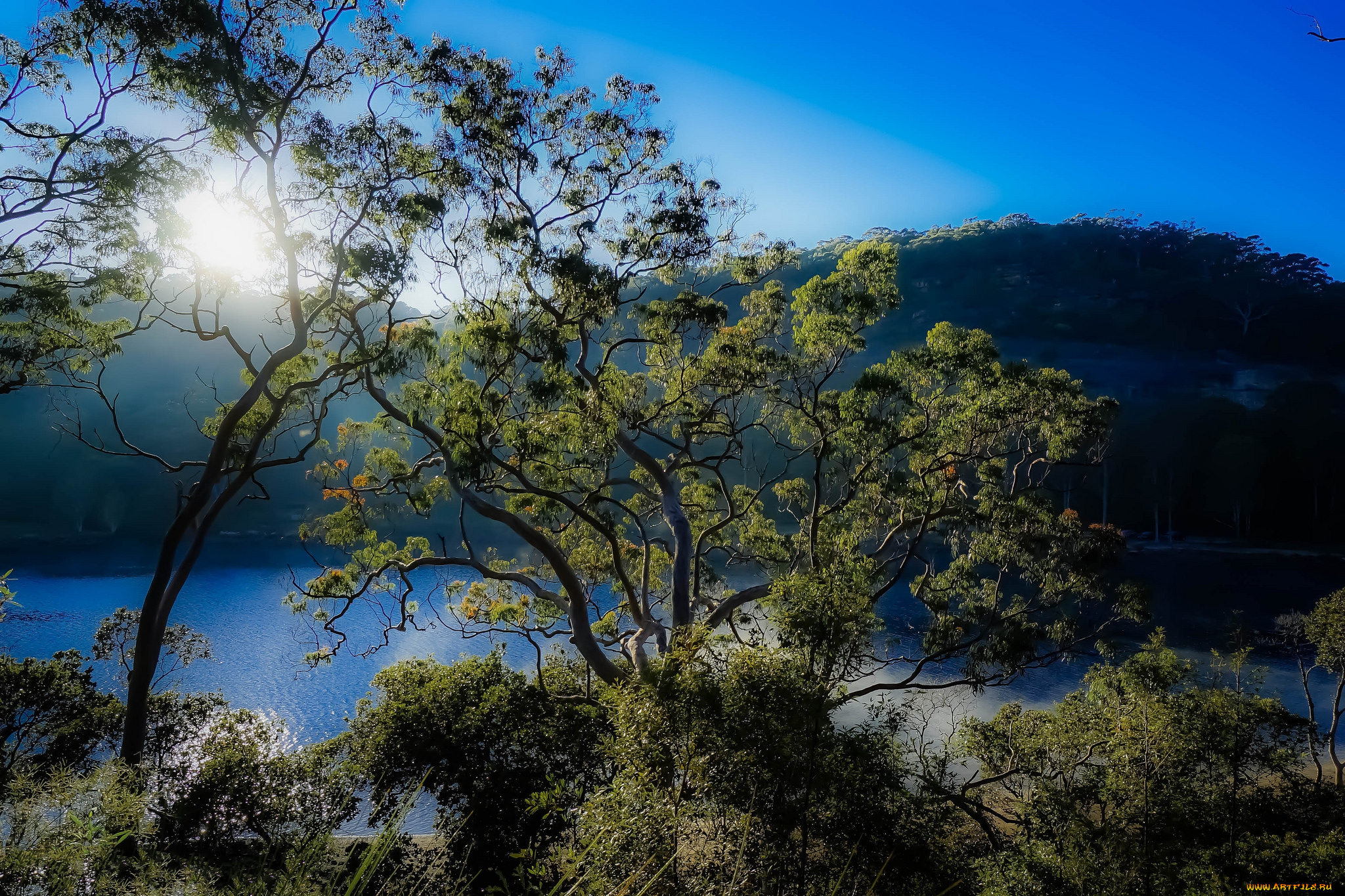 природа, реки, озера, простор