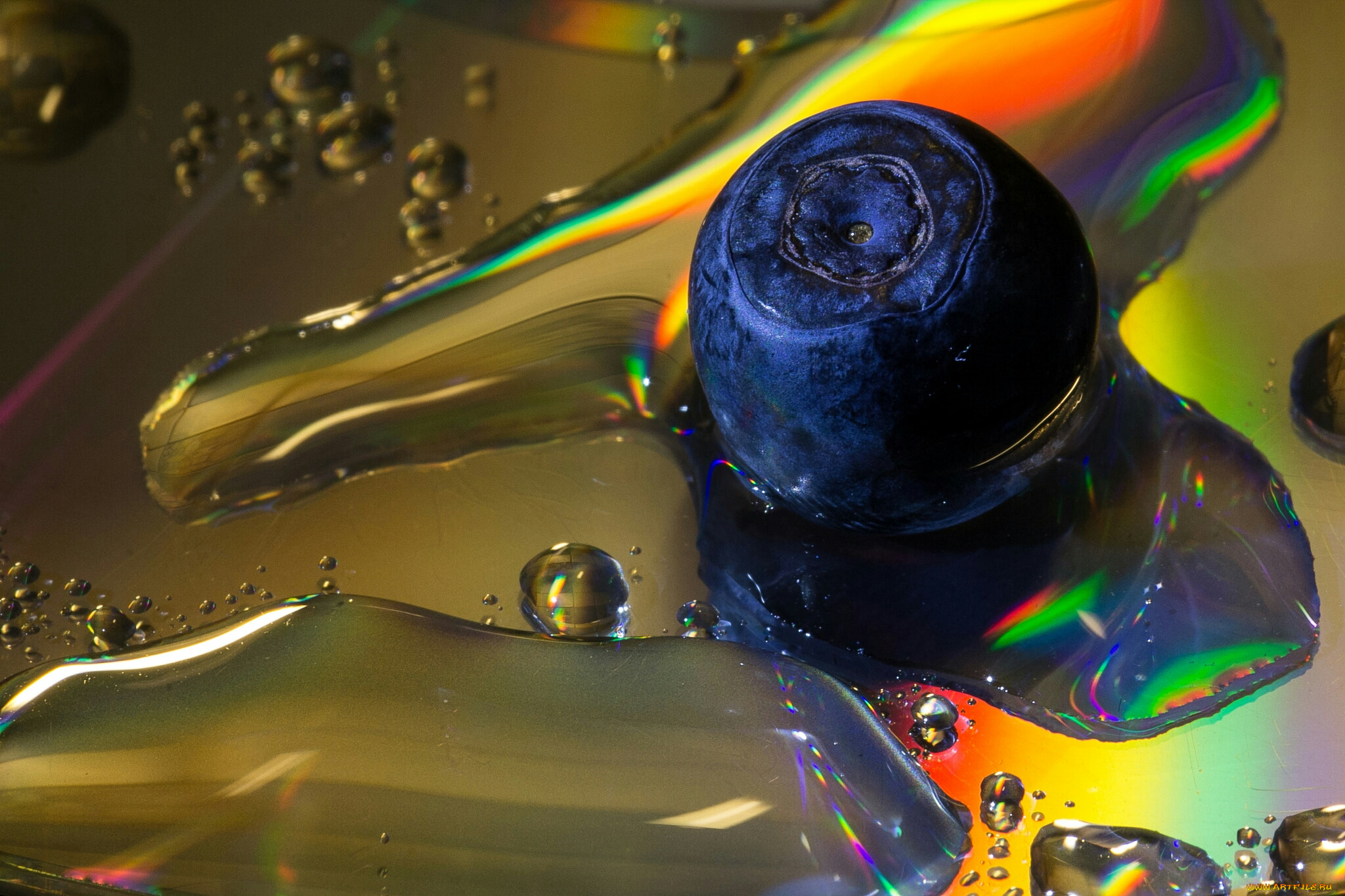 ягода, природа, Ягоды, вода, макро, капли, черника