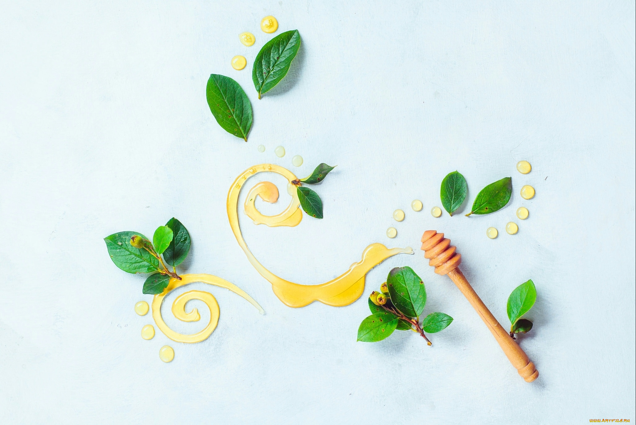 натюрморт, еда, мёд, , варенье, , повидло, , джем, узор, листья