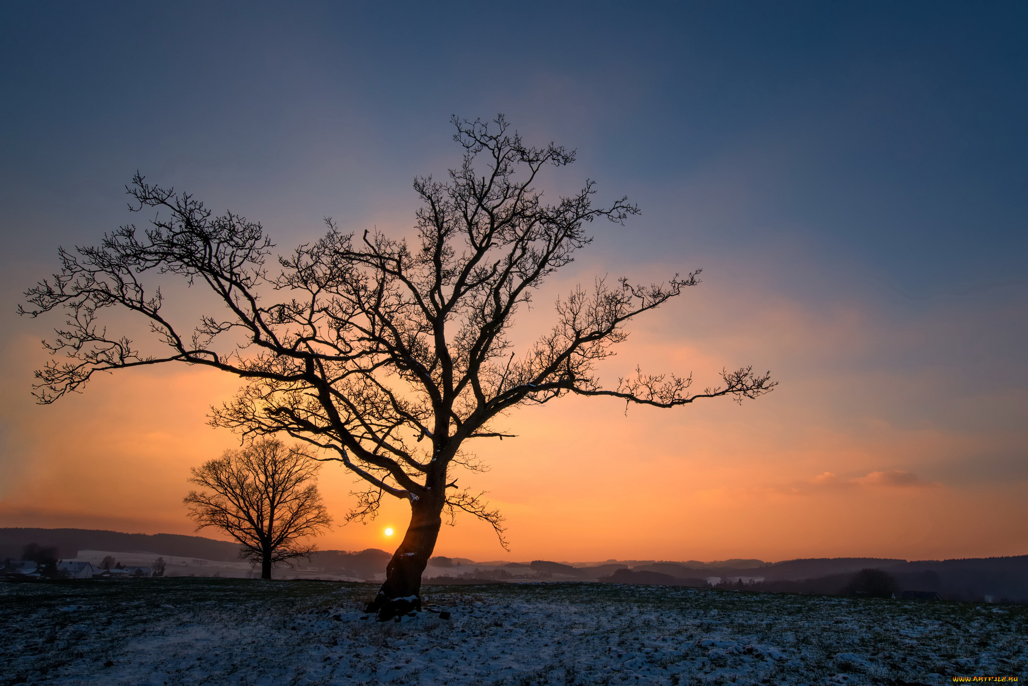 природа, деревья, простор