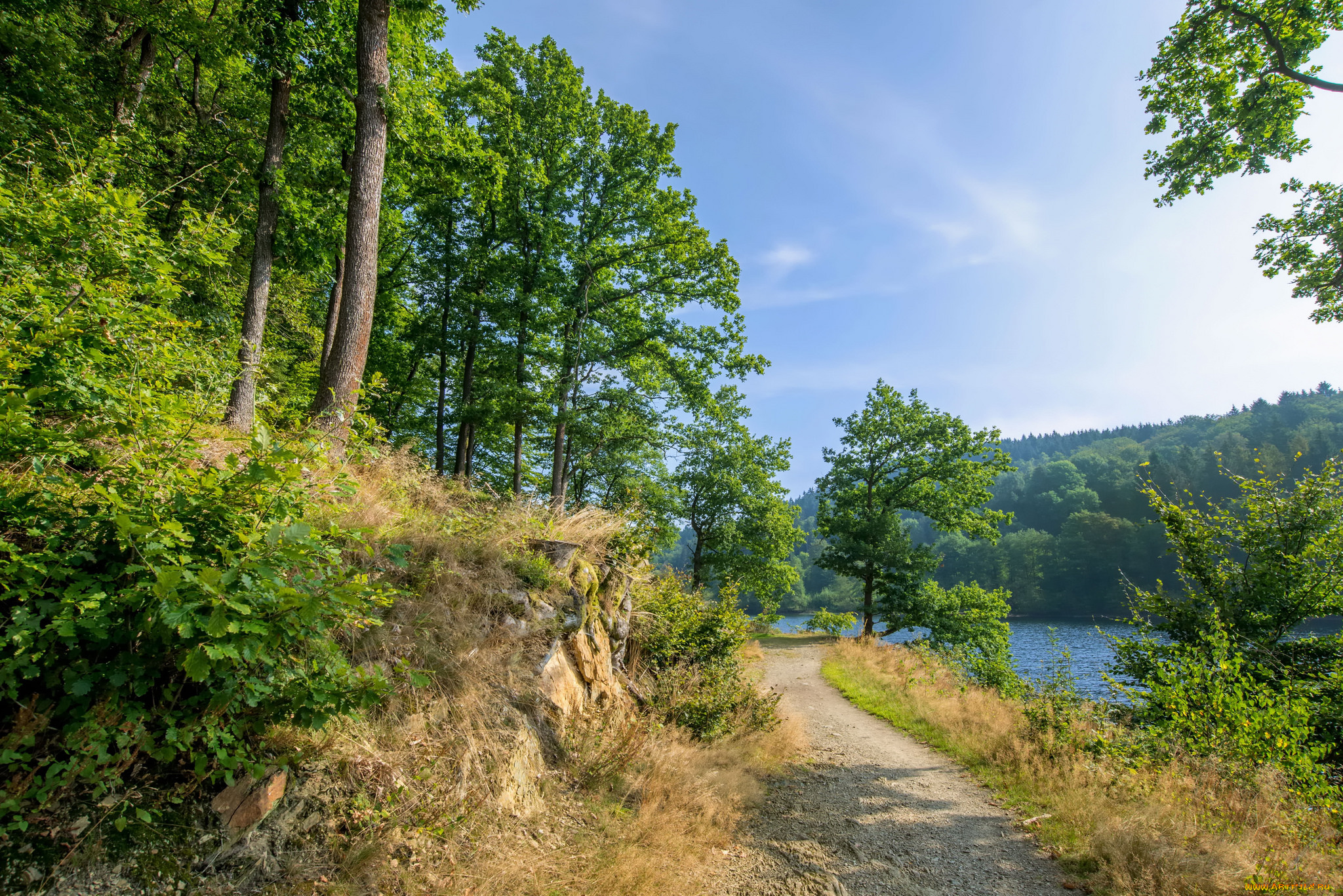 природа, дороги, простор