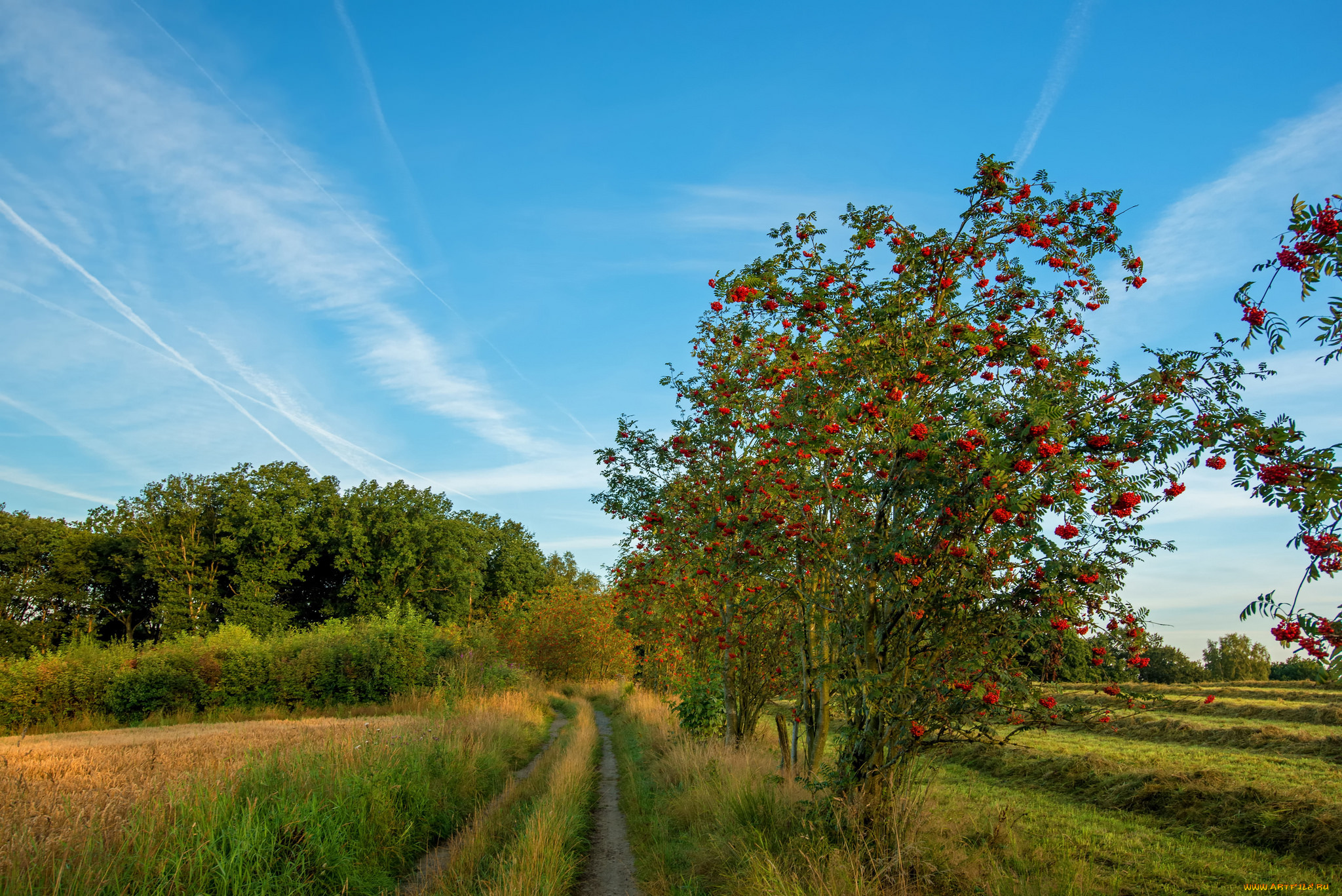 природа, дороги, простор