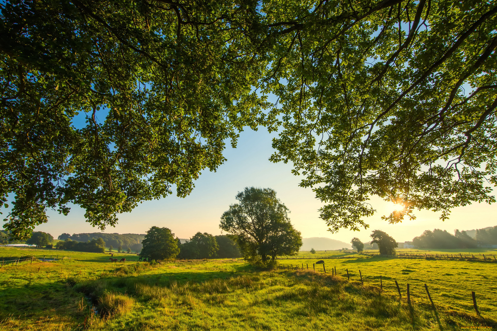 природа, пейзажи, простор