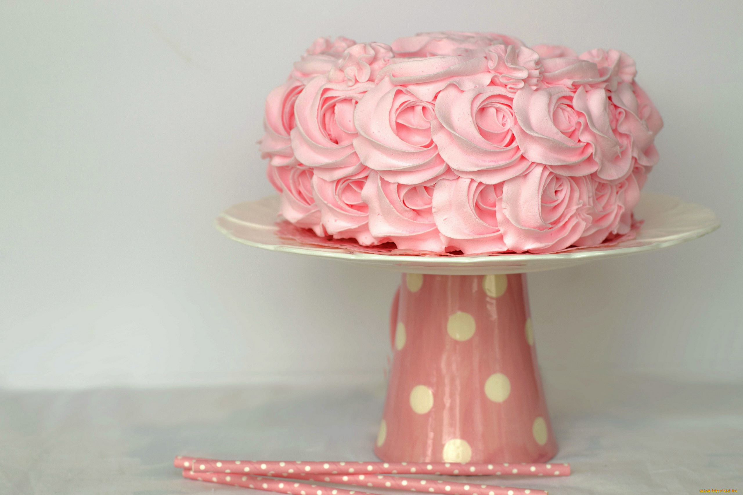 еда, торты, торт, кремовый