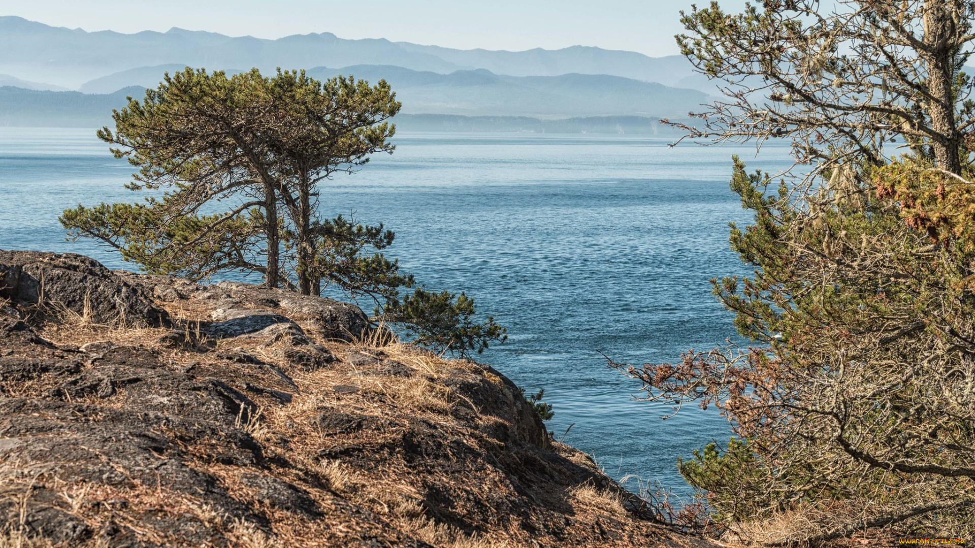 природа, побережье, простор