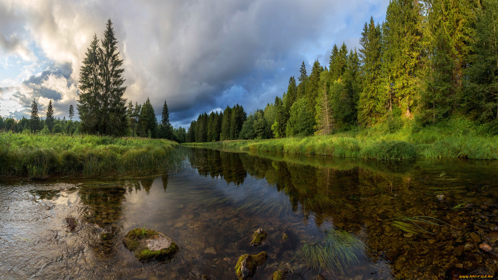 природа, реки, озера, деревья, река, лето, лес, пейзаж