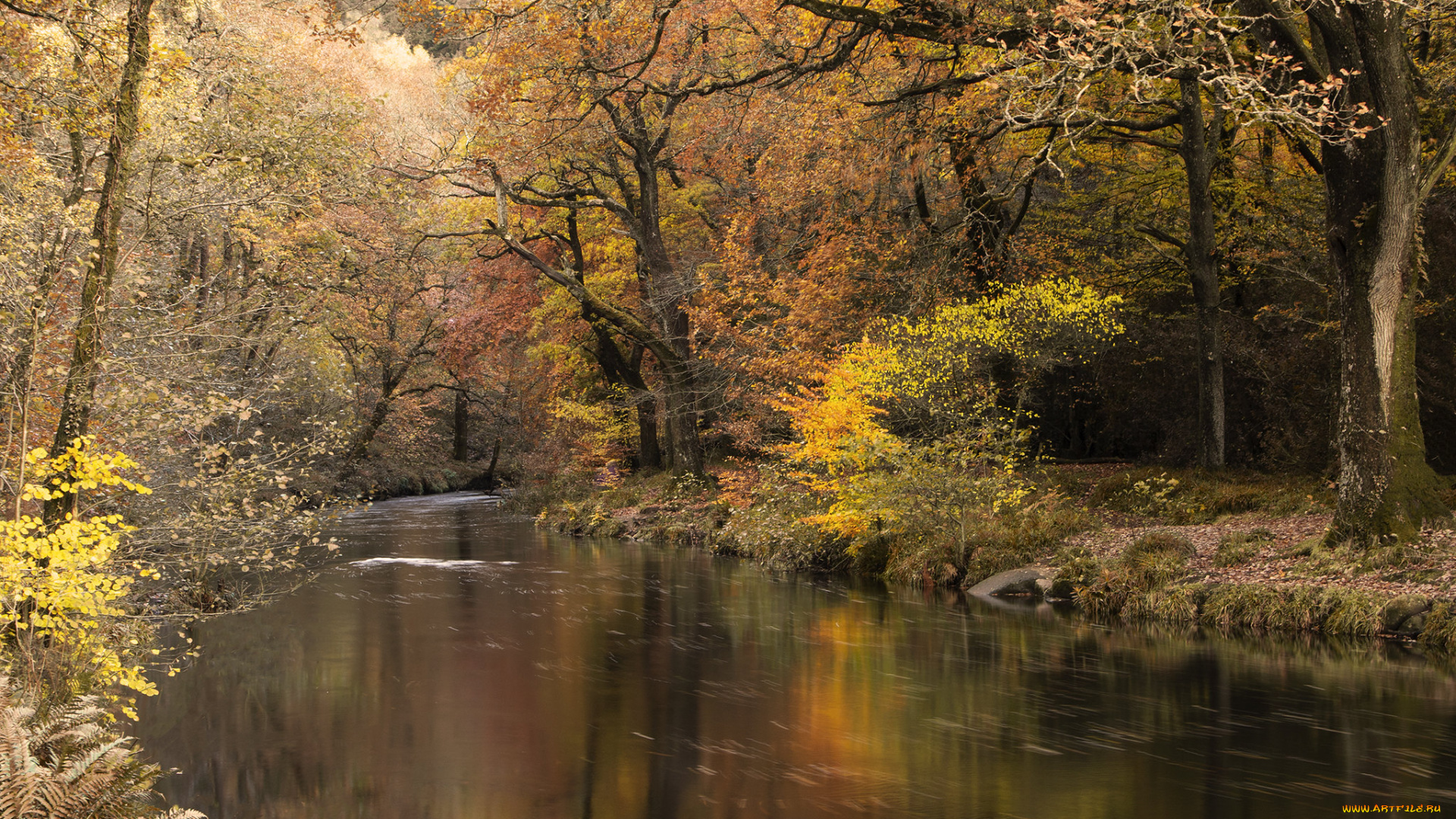 природа, реки, озера, простор