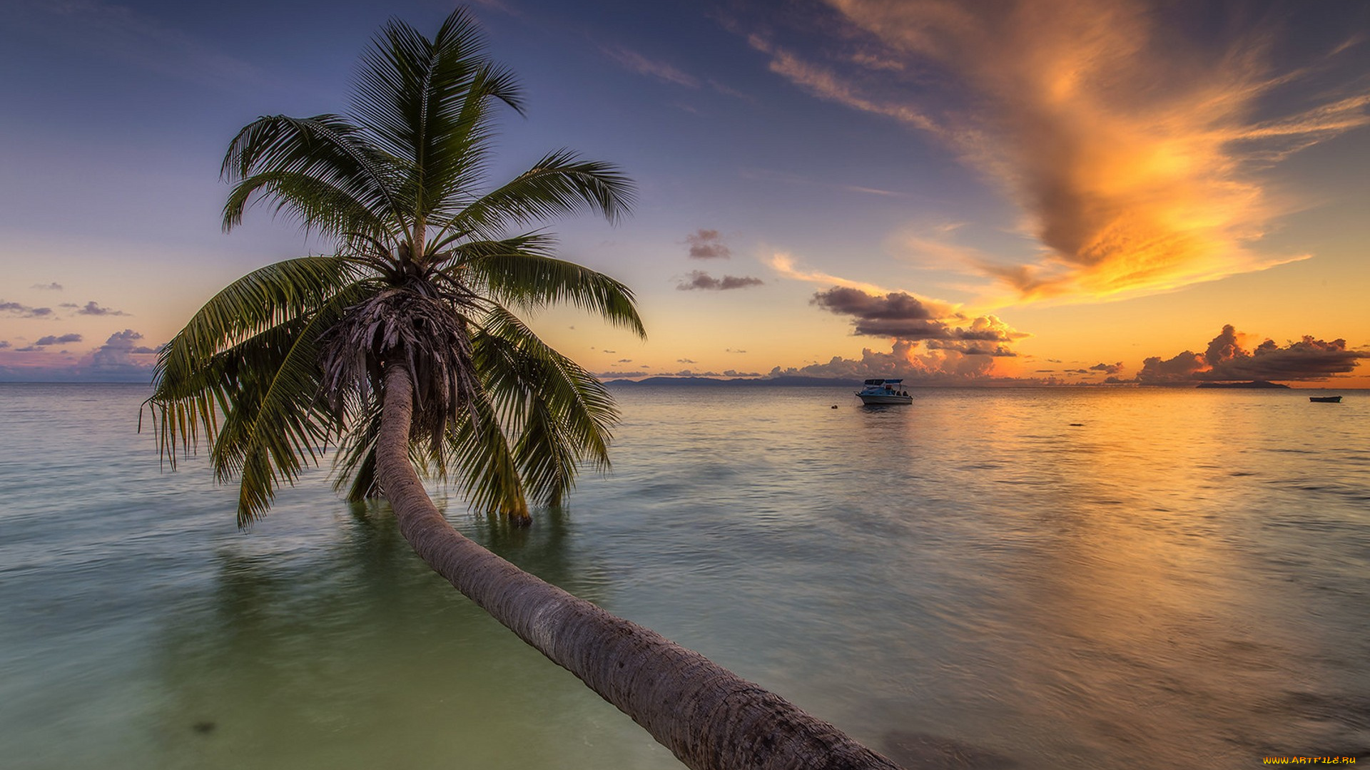 природа, тропики, простор