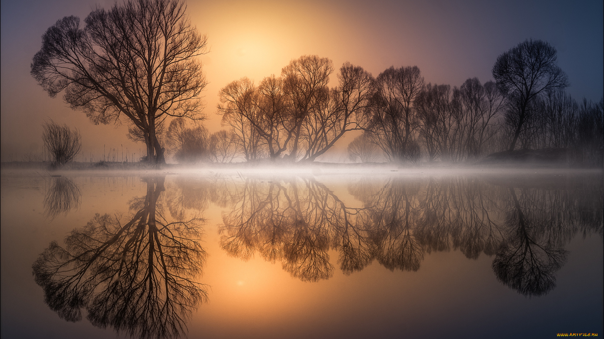 природа, восходы, закаты, деревья, отражение, водоем