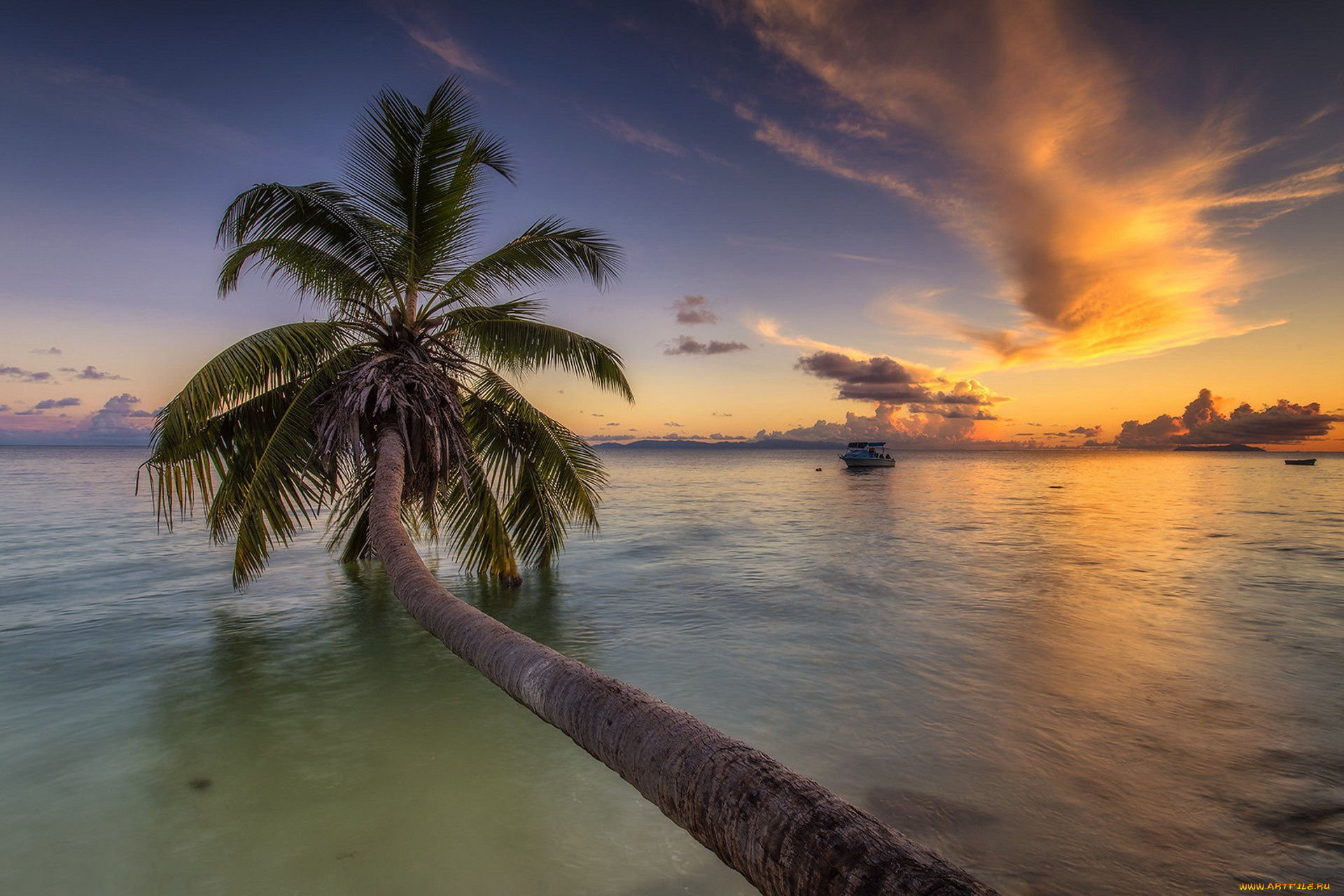 природа, тропики, простор