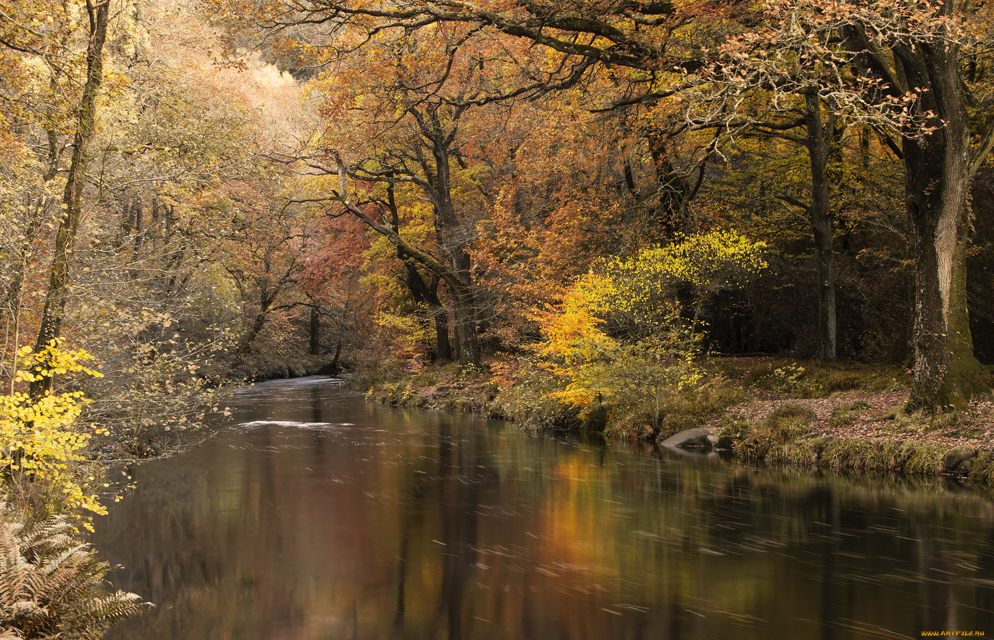 природа, реки, озера, простор