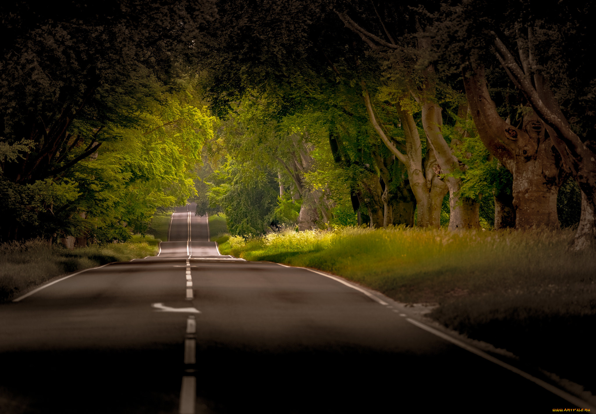 природа, дороги, простор