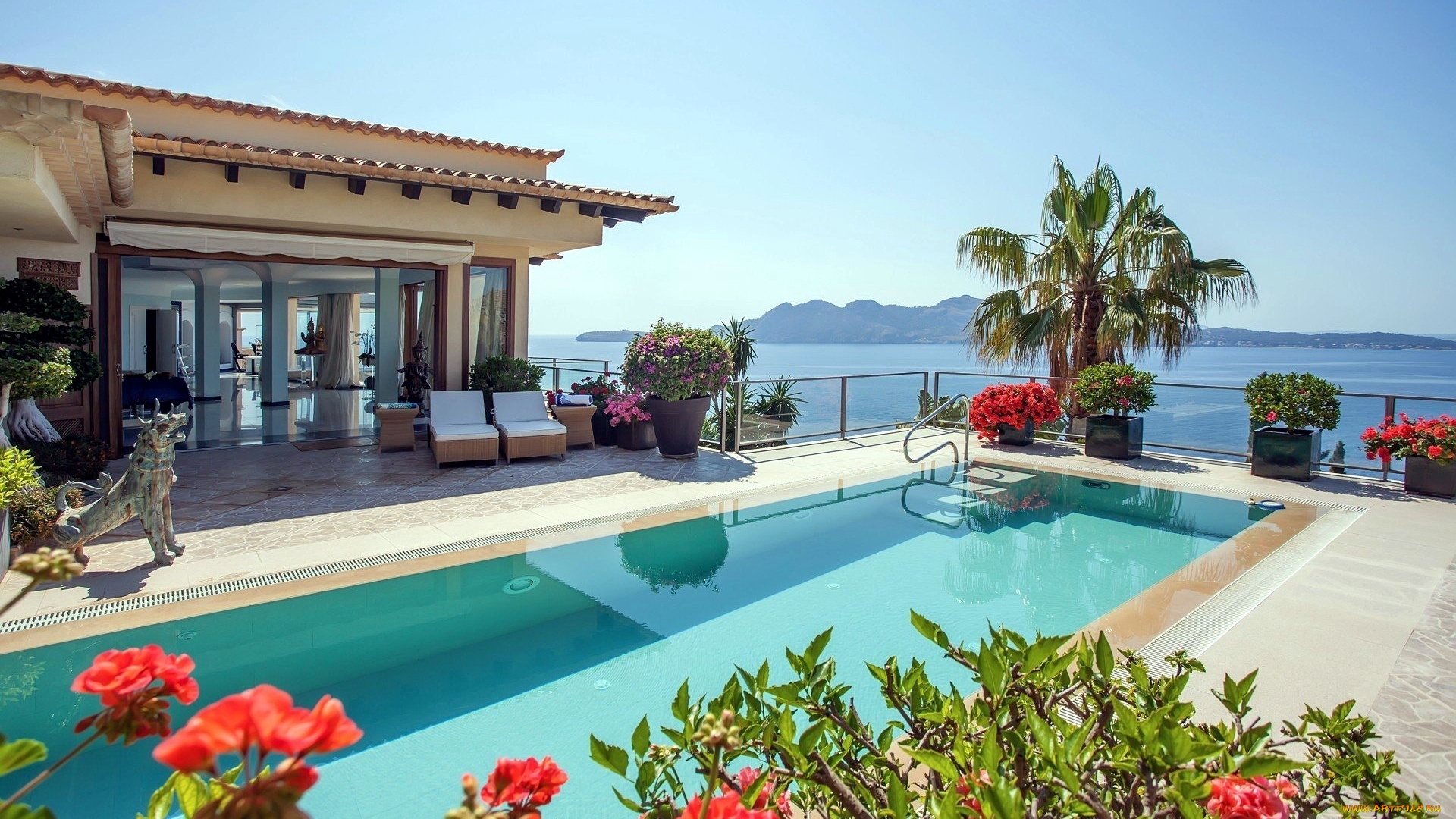 интерьер, бассейны, , открытые, площадки, бассейн, пальма, цветы