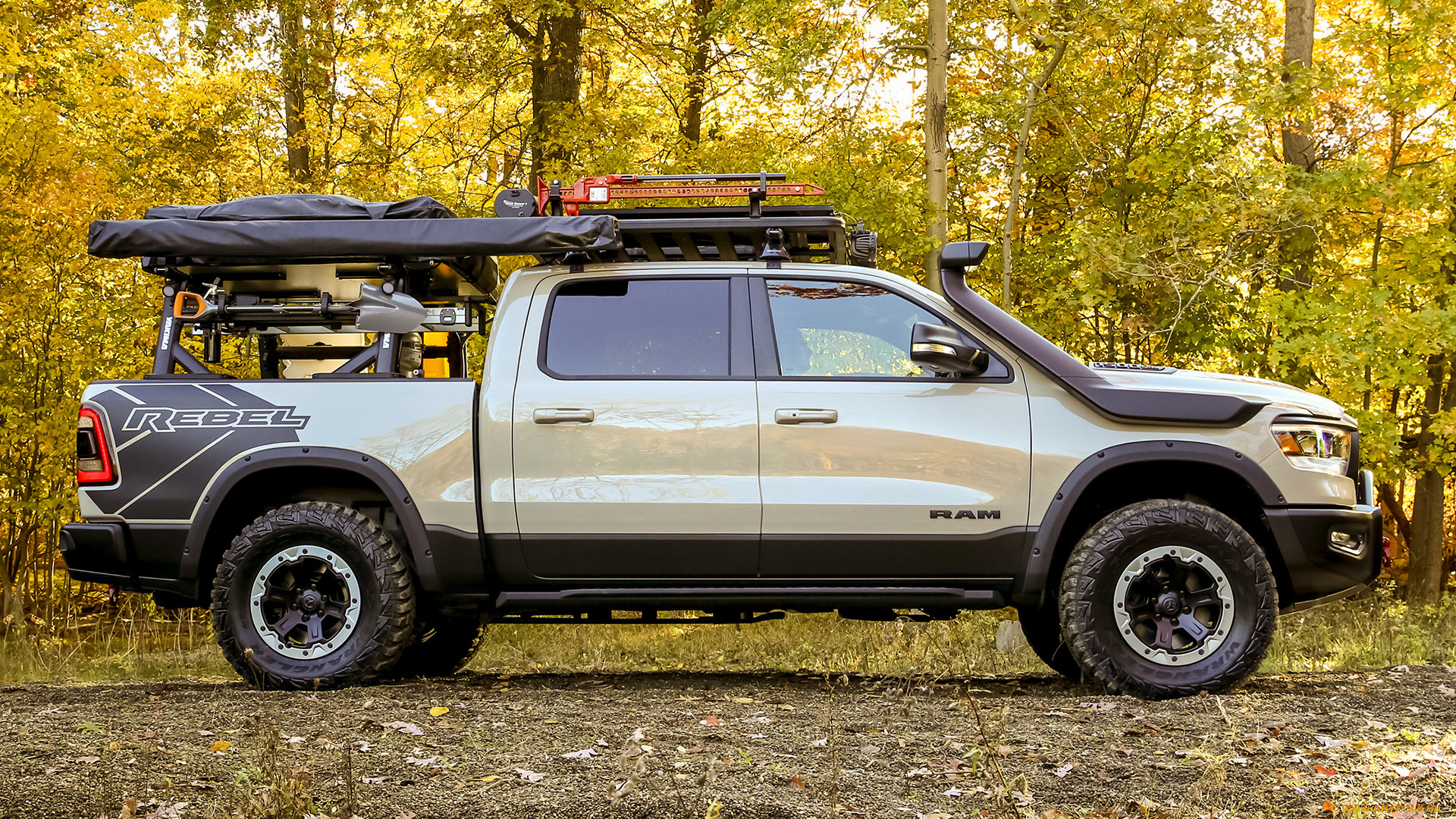 автомобили, ram, 2019, ram1500, rebel, otg, concept, природа, джип, внедорожник, концепт, лес, автомобиль, профиль