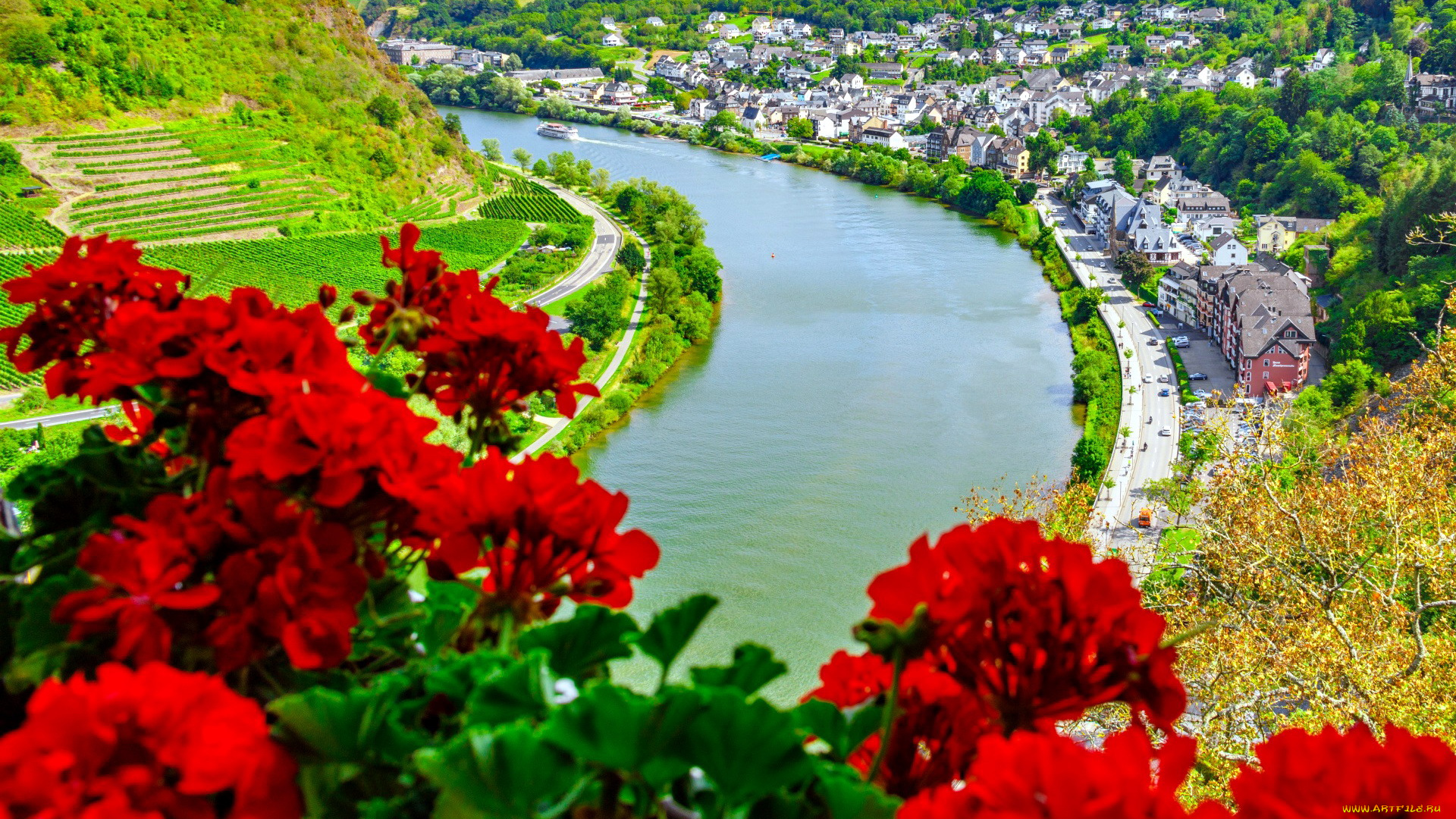 города, кохем, , германия, река, панорама