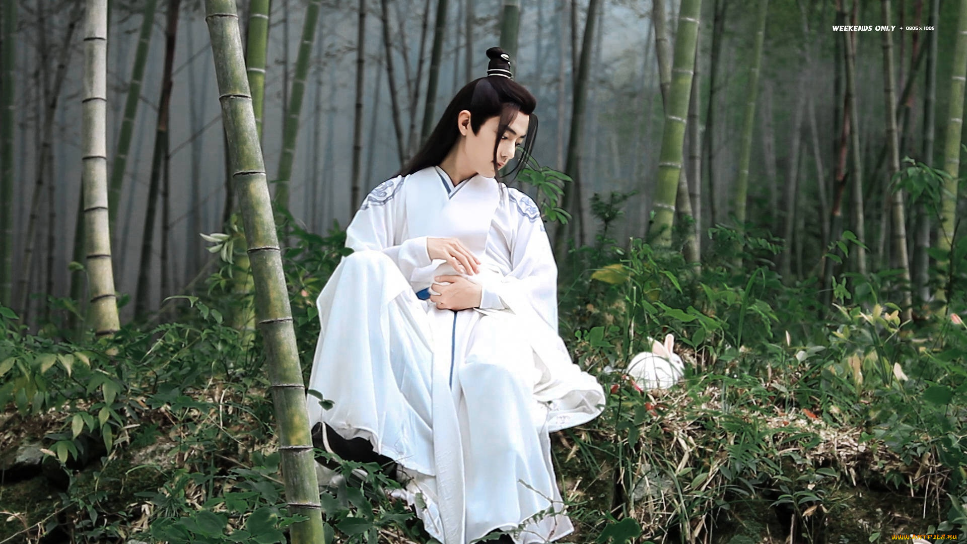 кино, фильмы, the, untamed, вэй, усянь, кролики, лес