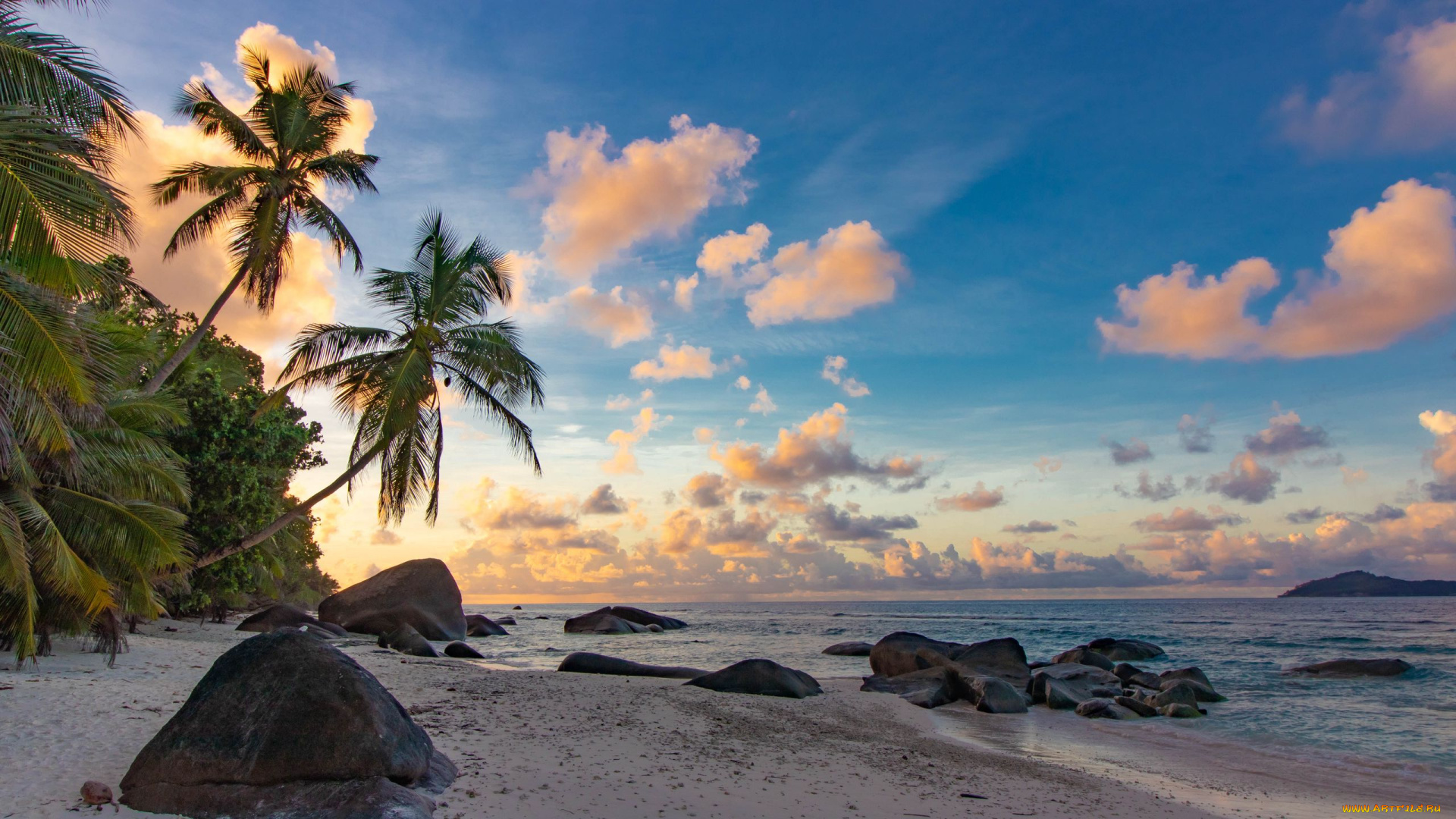 природа, тропики, море, камни, пальмы