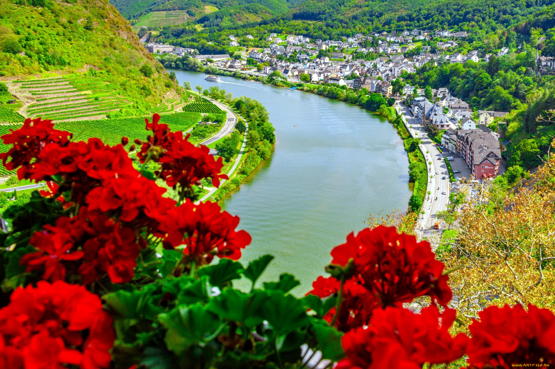 города, кохем, , германия, река, панорама