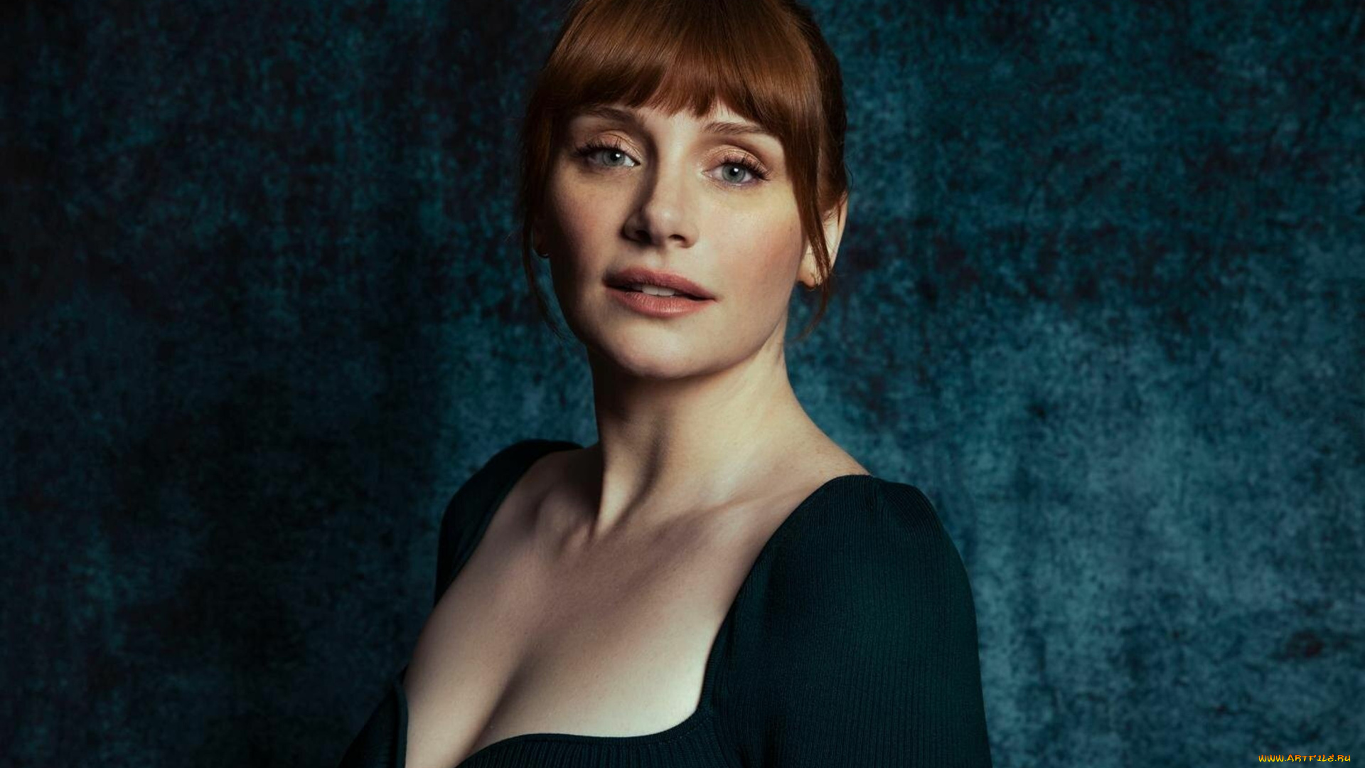 девушки, bryce, dallas, howard, брайс, даллас, ховард, актриса, режиссер, женщина, знаменитость