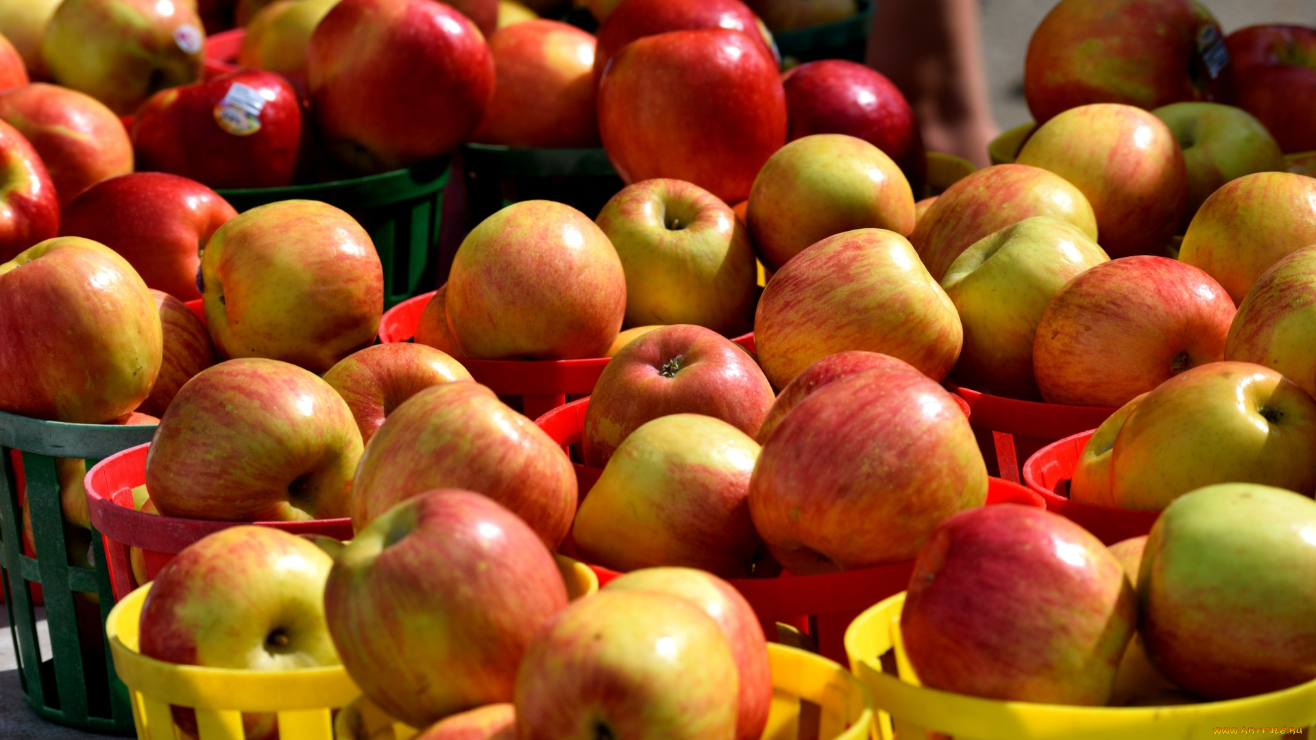 еда, яблоки, краснобокие