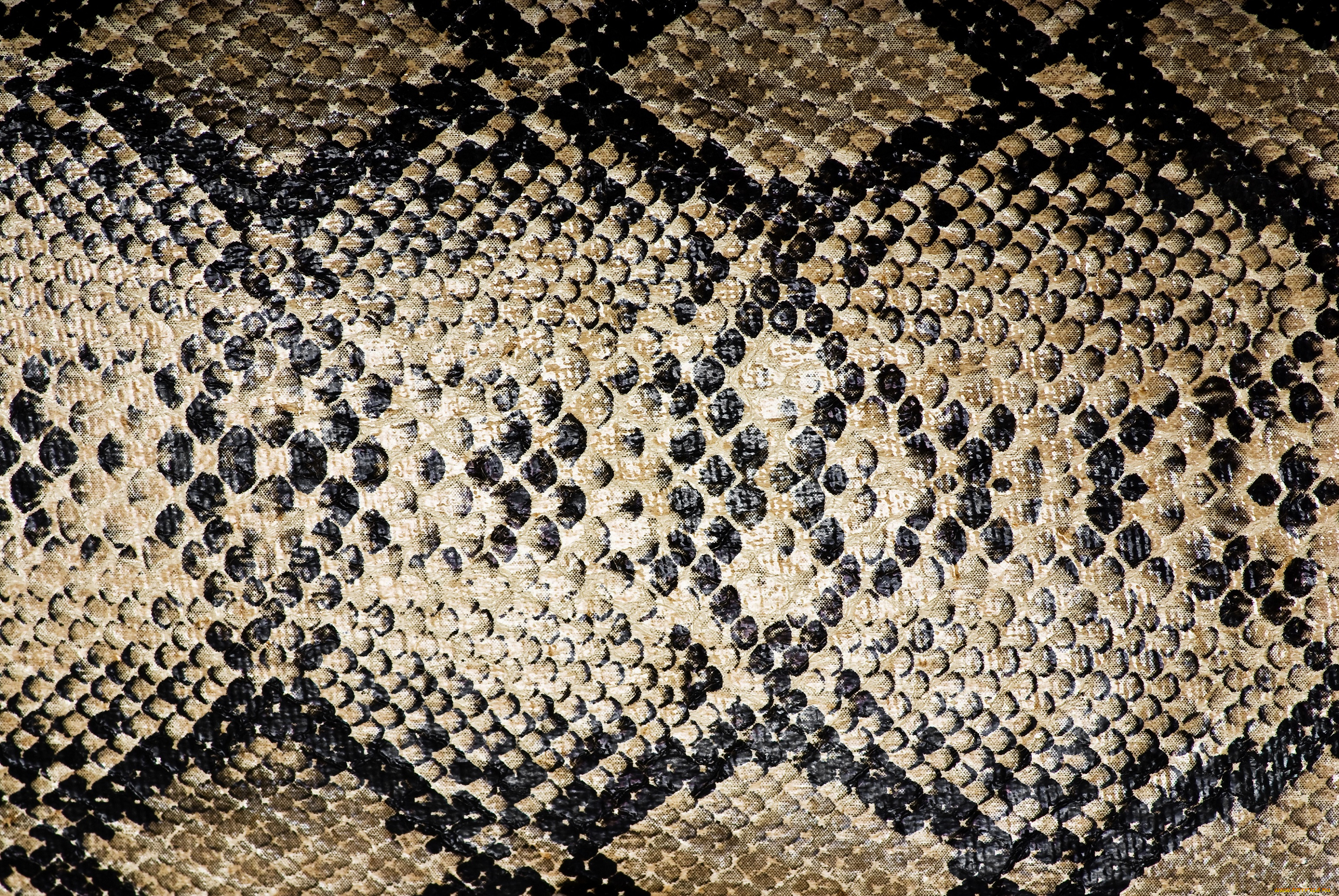 разное, текстуры, змея