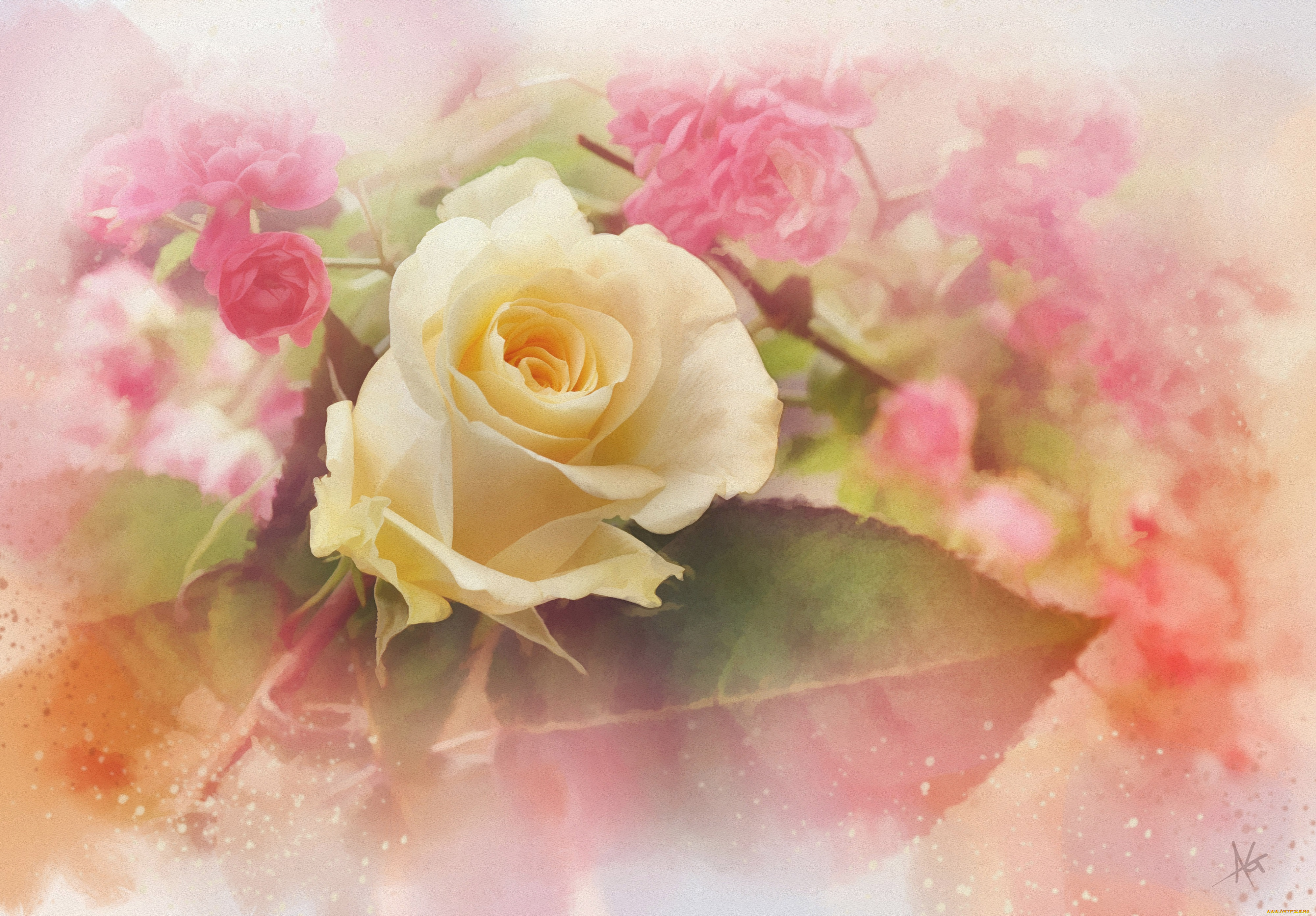 разное, компьютерный, дизайн, розы