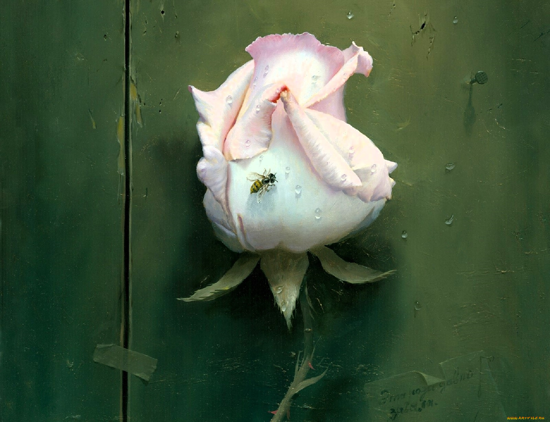 рисованное, алексей, антонов, роза, оса, стена, трещины, гвоздь, капли