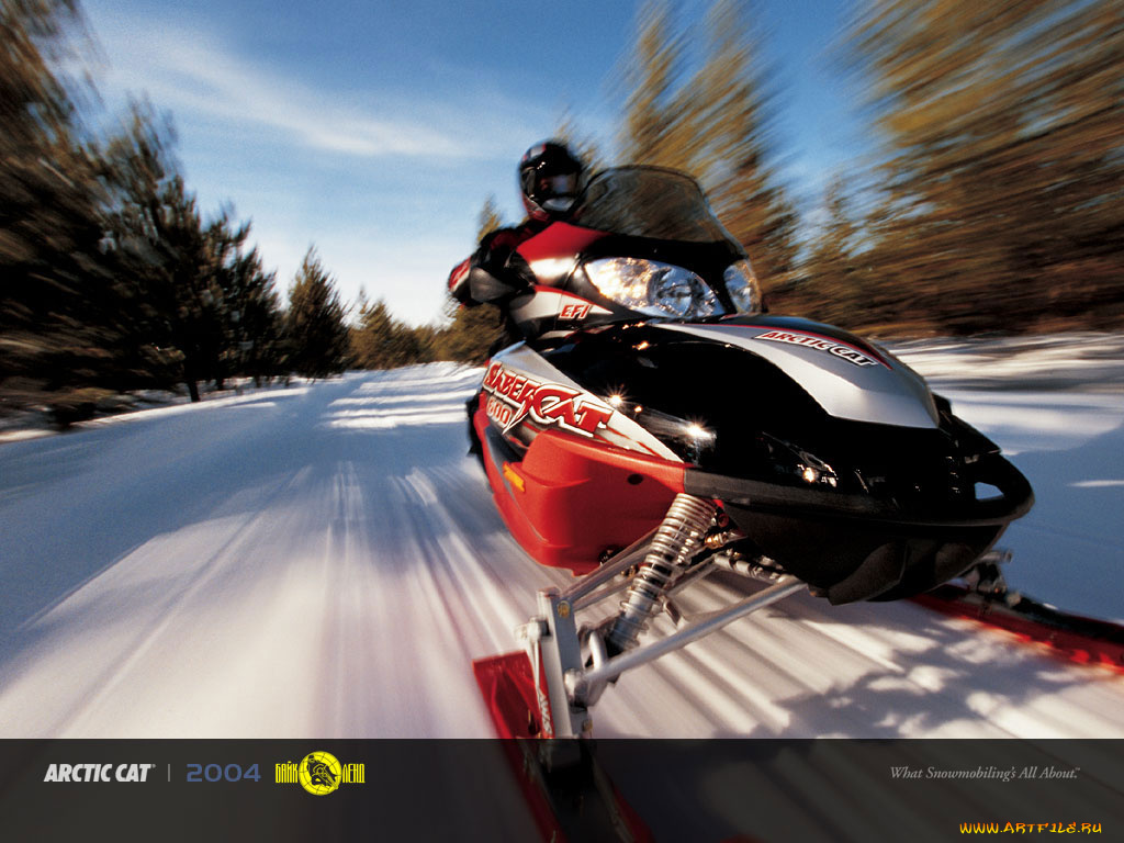 мотоциклы, снегоходы