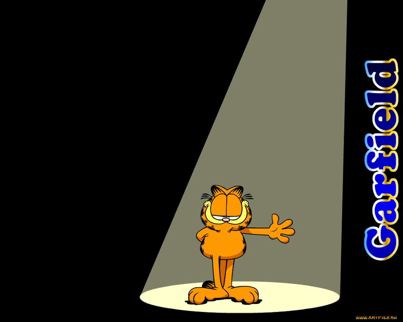 мультфильмы, garfield