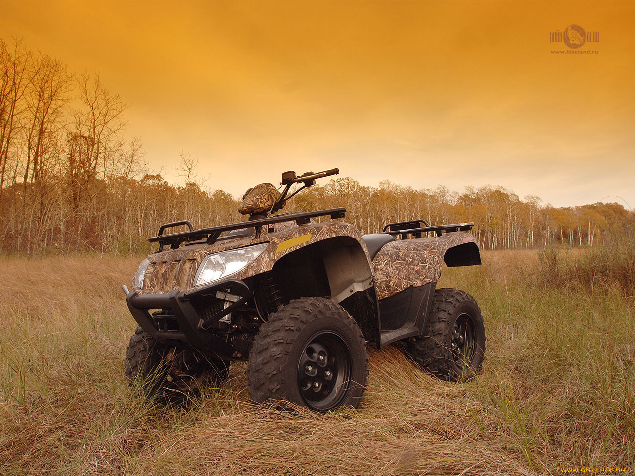 мотоциклы, квадроциклы