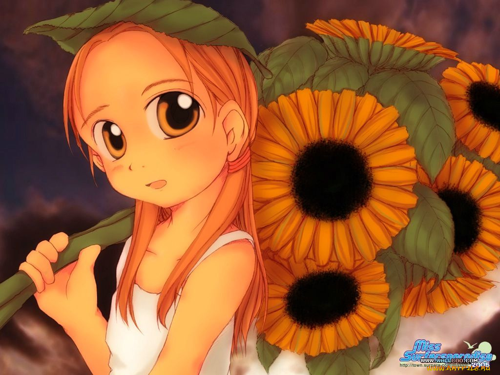 аниме, miss, surfersparadise