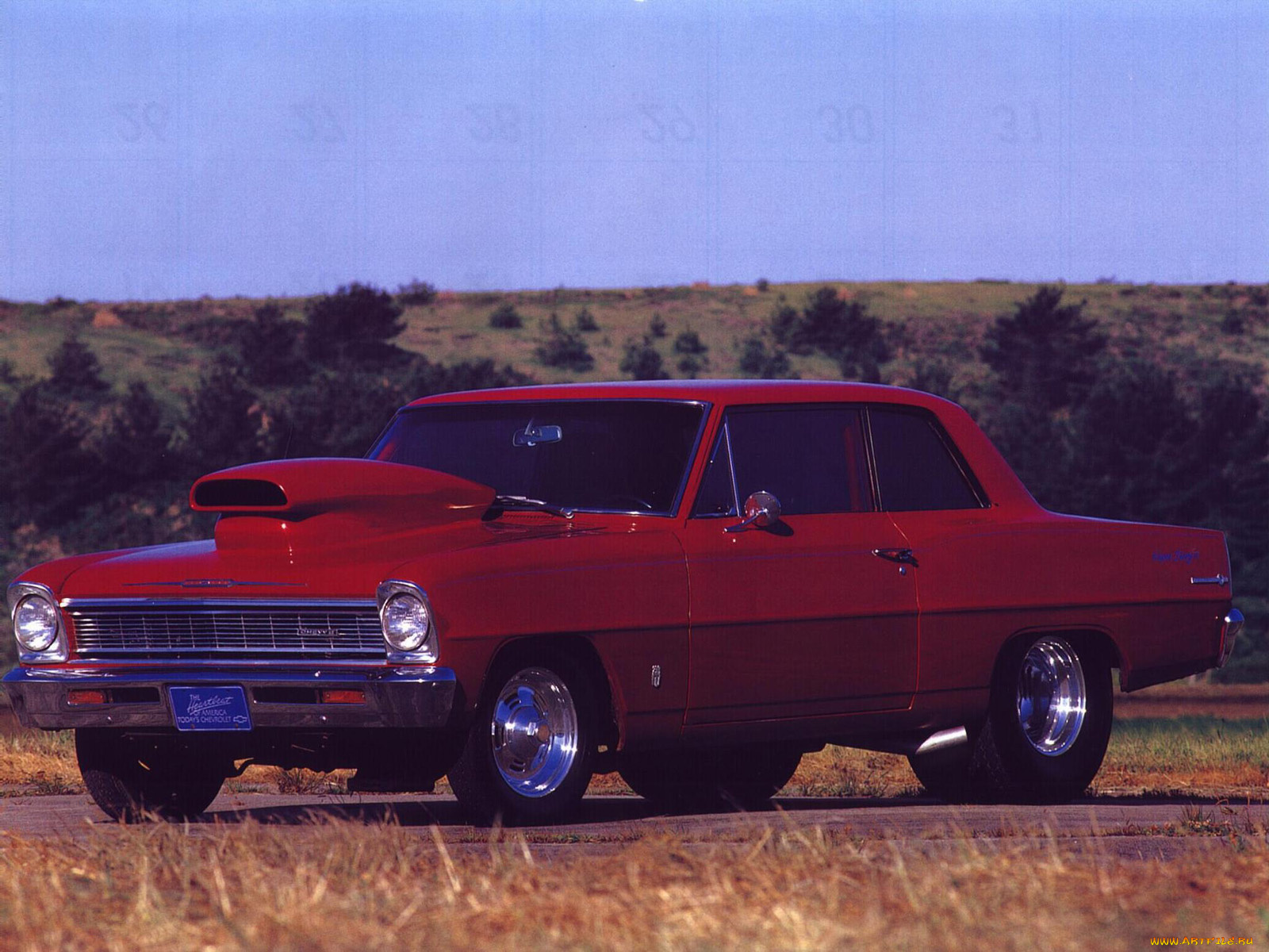 автомобили, hotrod, dragster