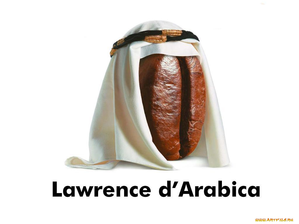 юмор, приколы