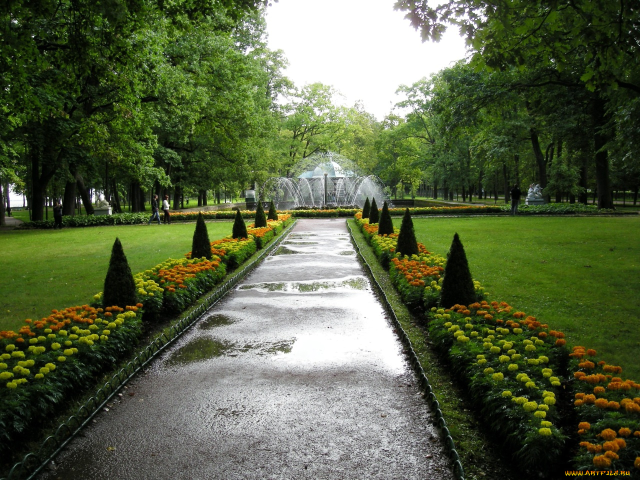 города, санкт, петербург, петергоф, россия