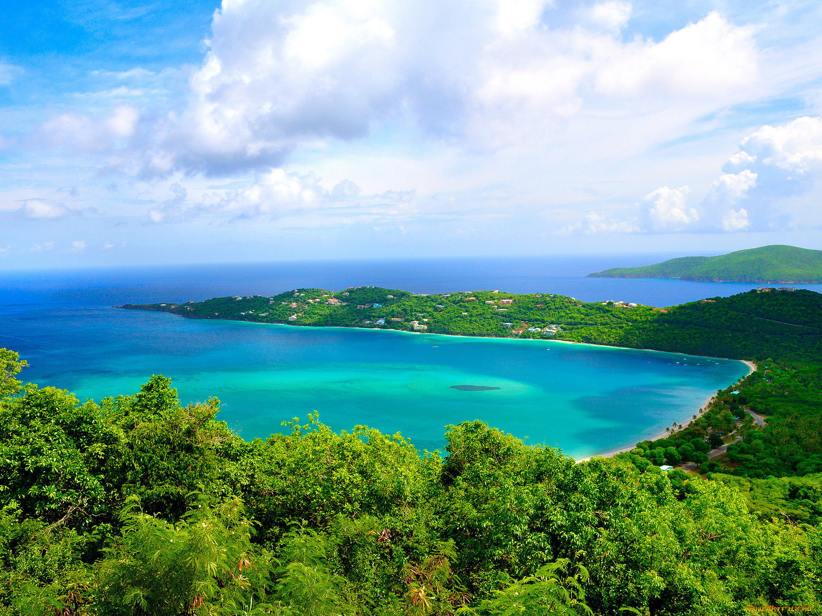 природа, побережье, море, деревья, облака, небо