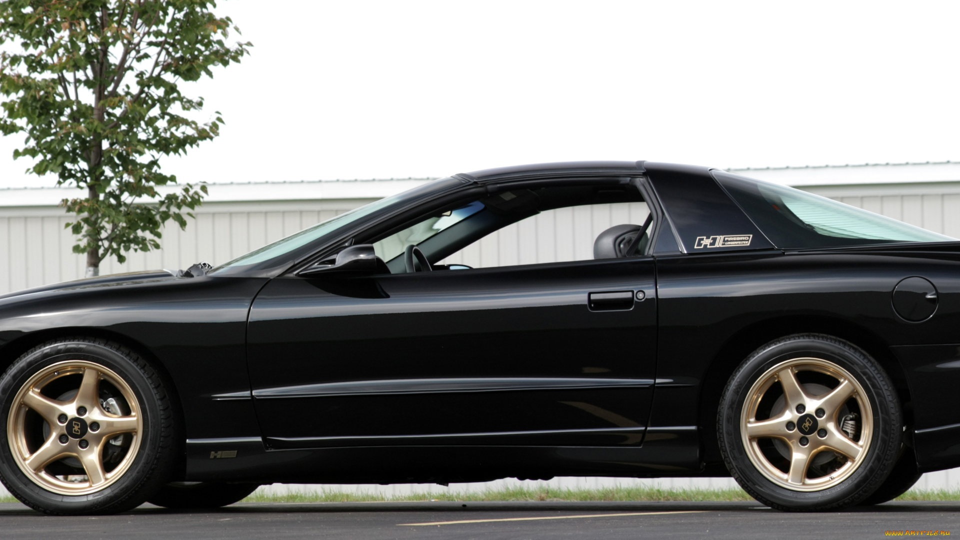 1997, hurst, pontiac, by, lingenfelter, автомобили, классика, спортивный, автомобиль