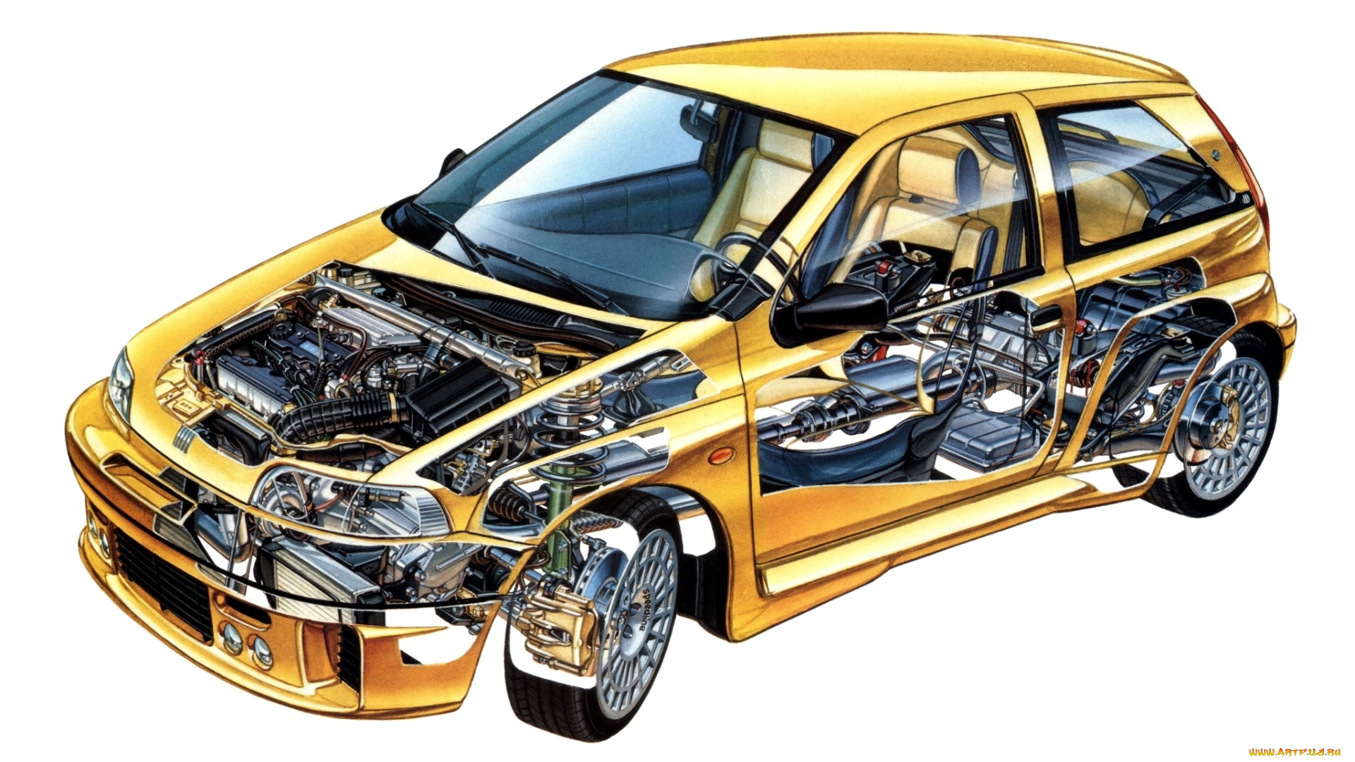 автомобили, рентген, punto