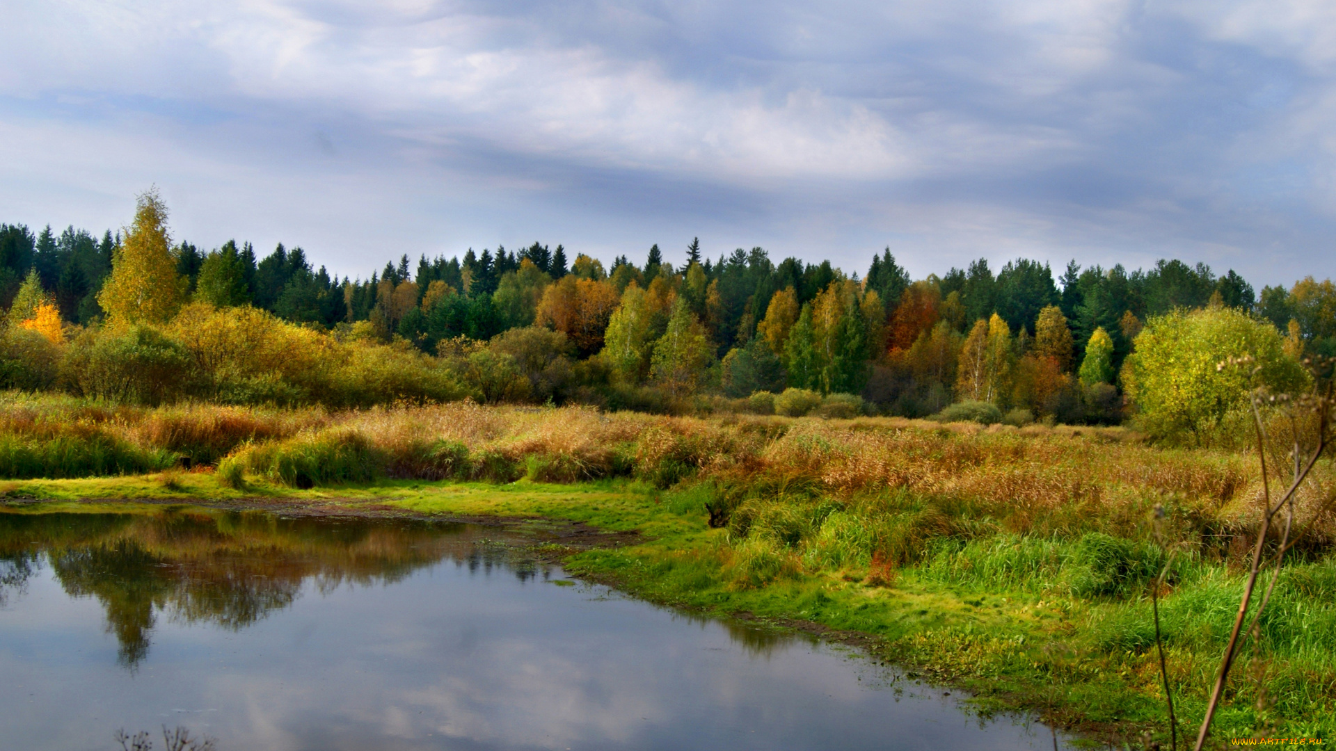 природа, реки, озера, осень