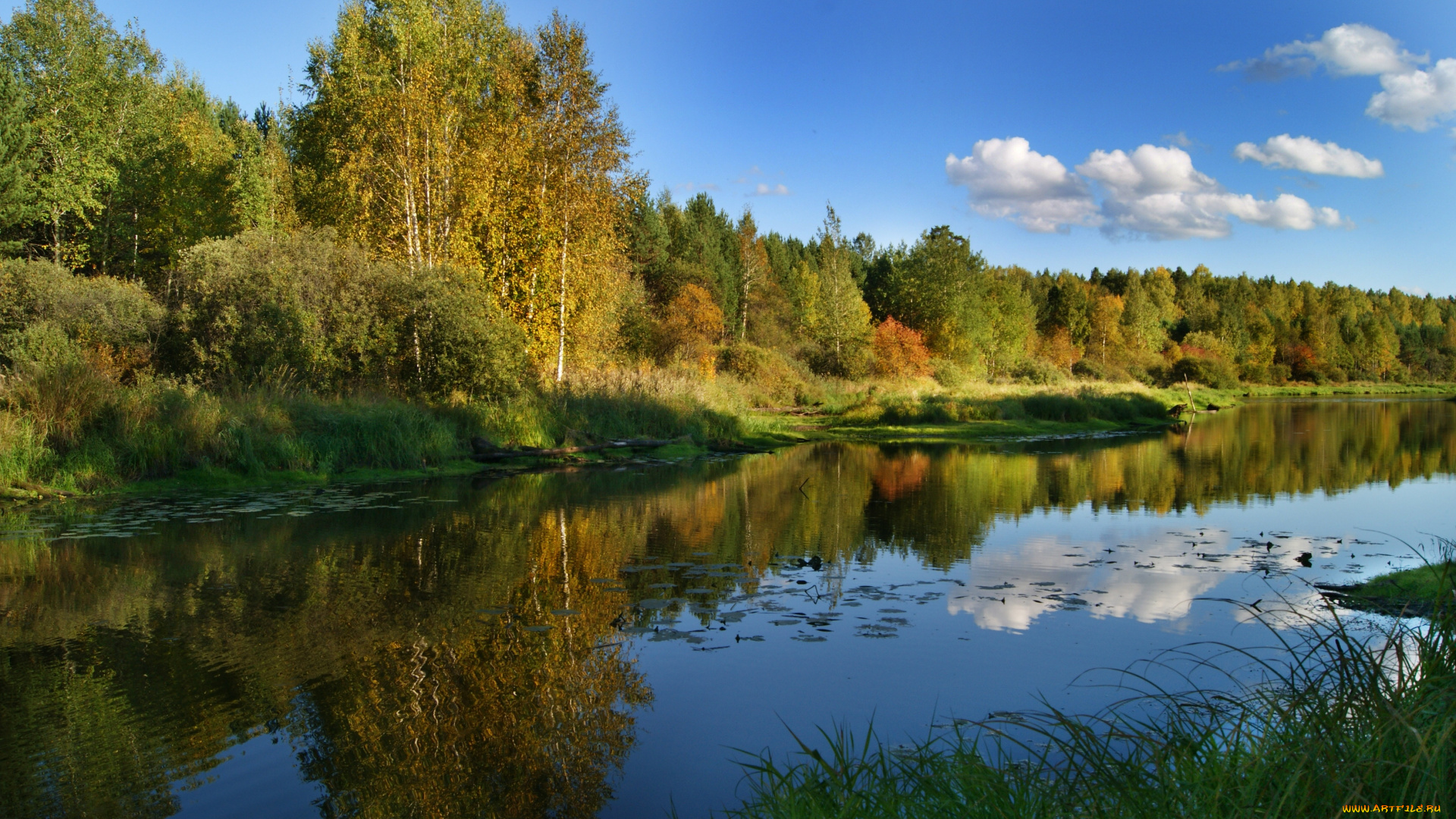 природа, реки, озера, пейзаж