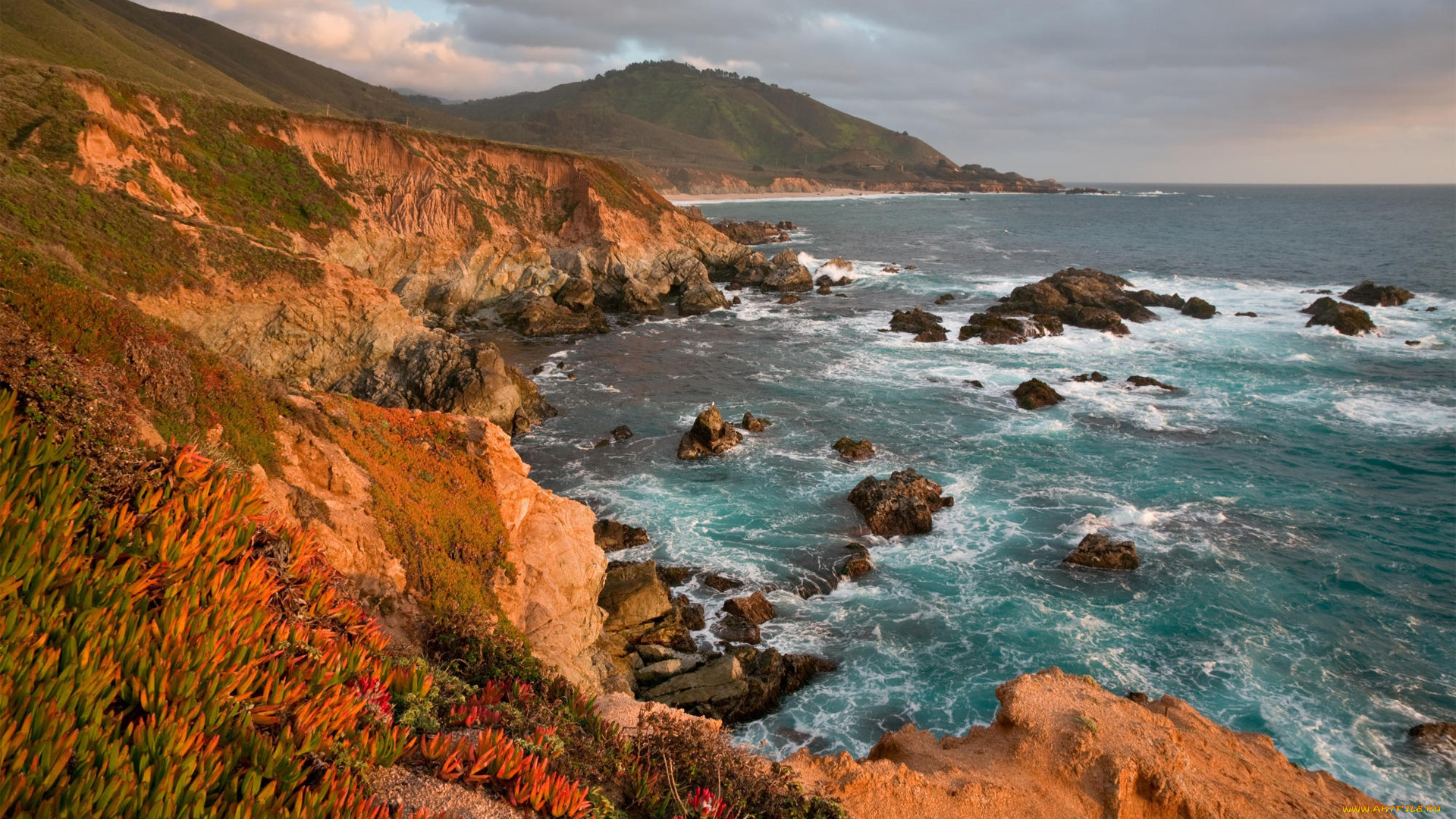 stunning, view, природа, побережье, обрыв, гскалы, берег, океан, цветы, трава